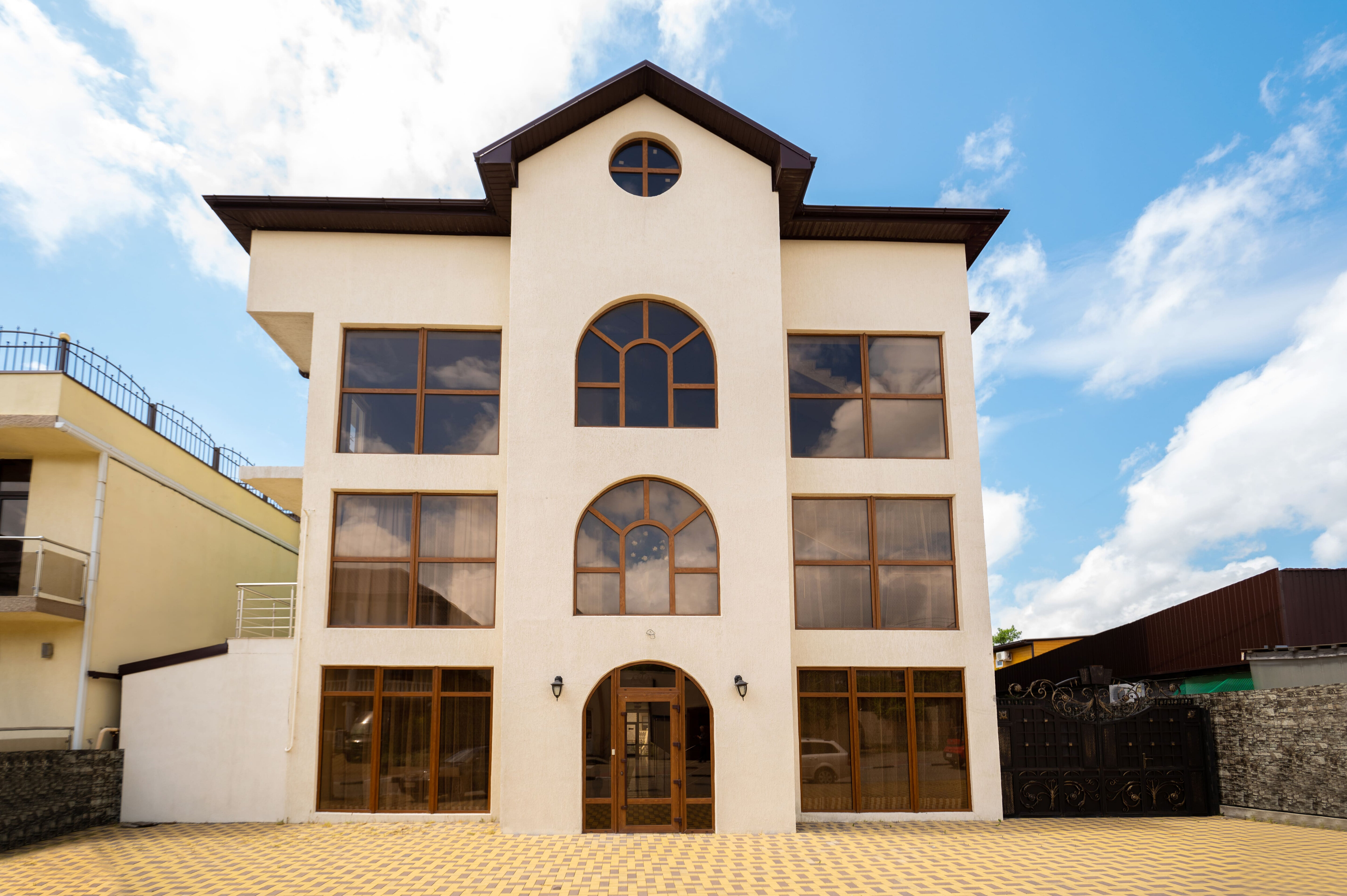 Фото Ленивый тюлень