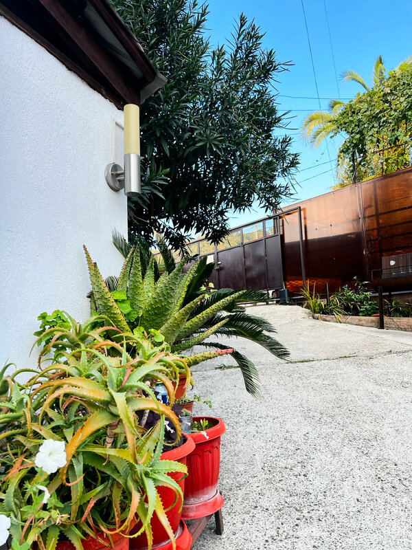 Terrace House — фото 6