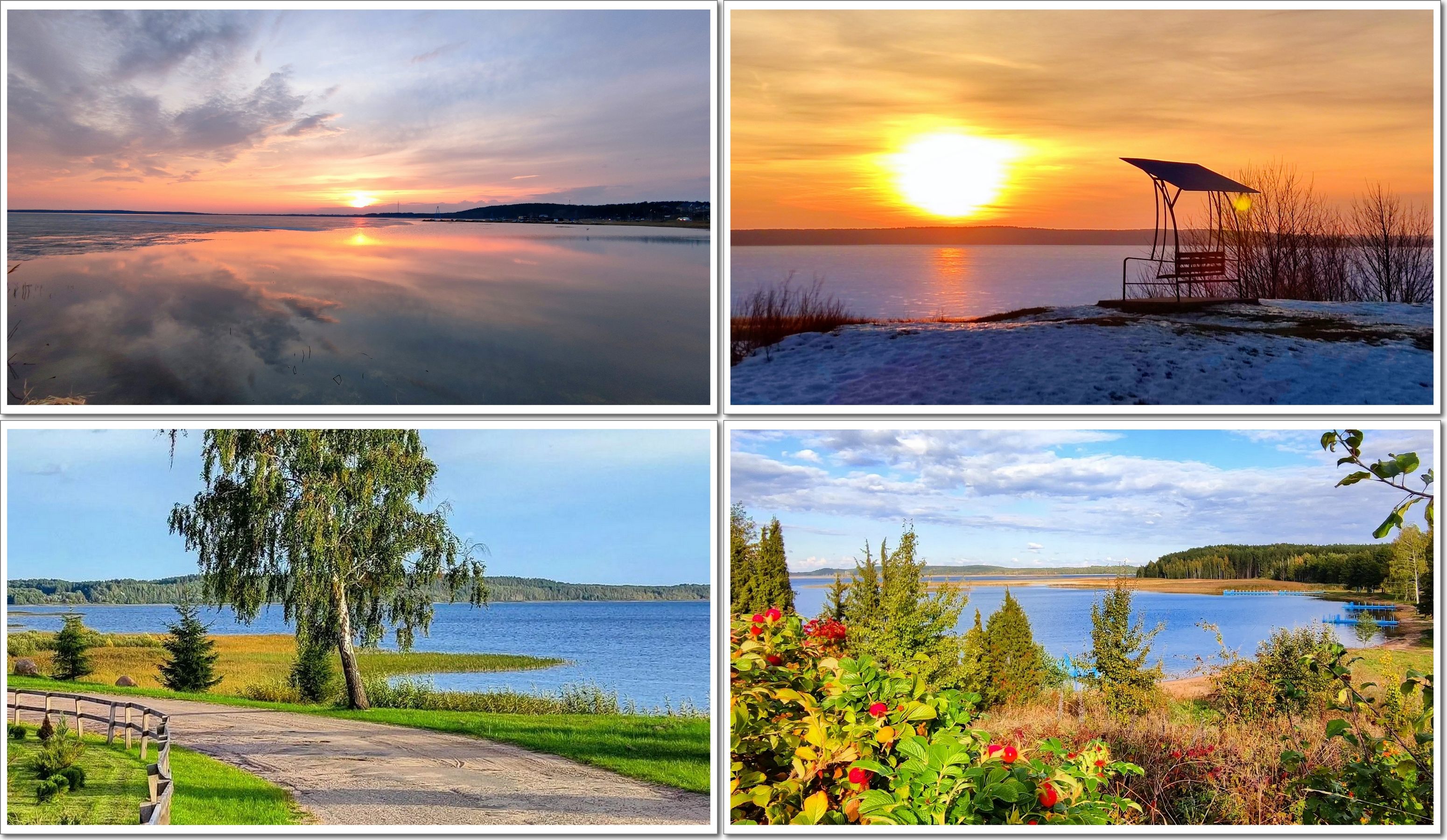 Фото Муражье