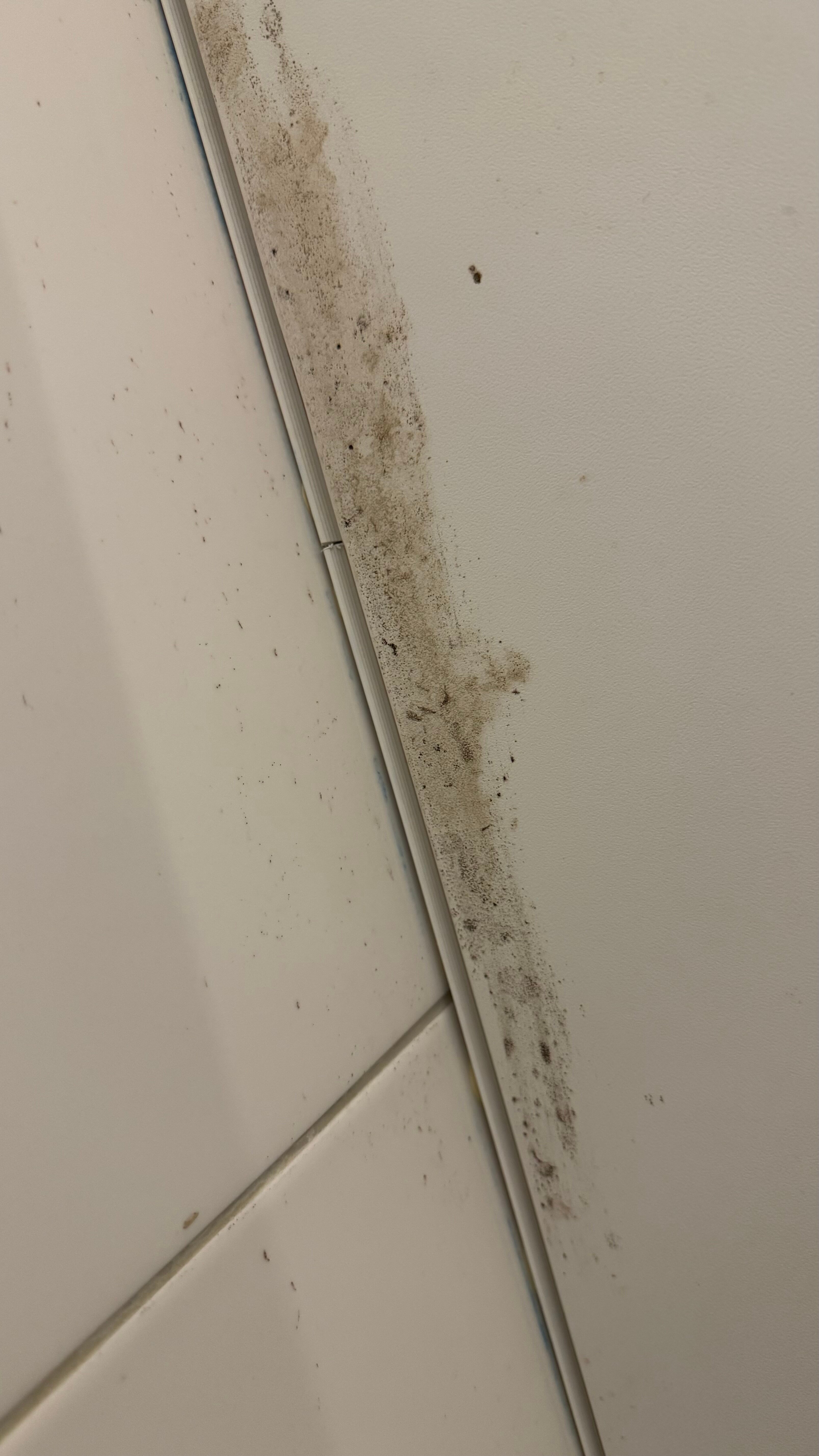 Фото Variant M50