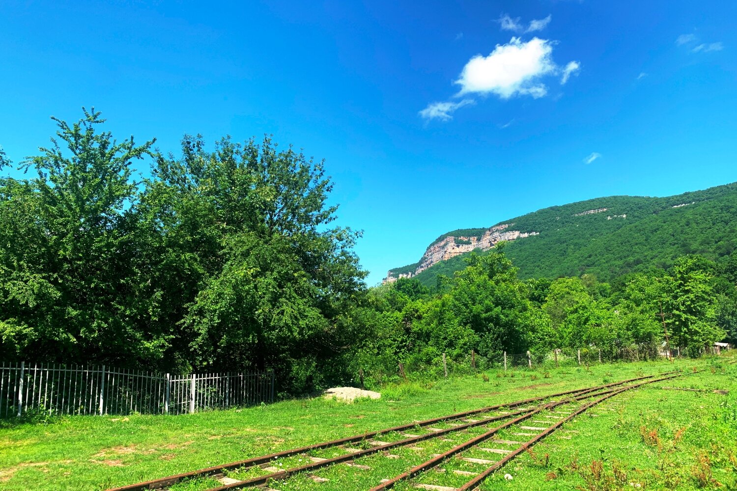 Фото Зима Лето