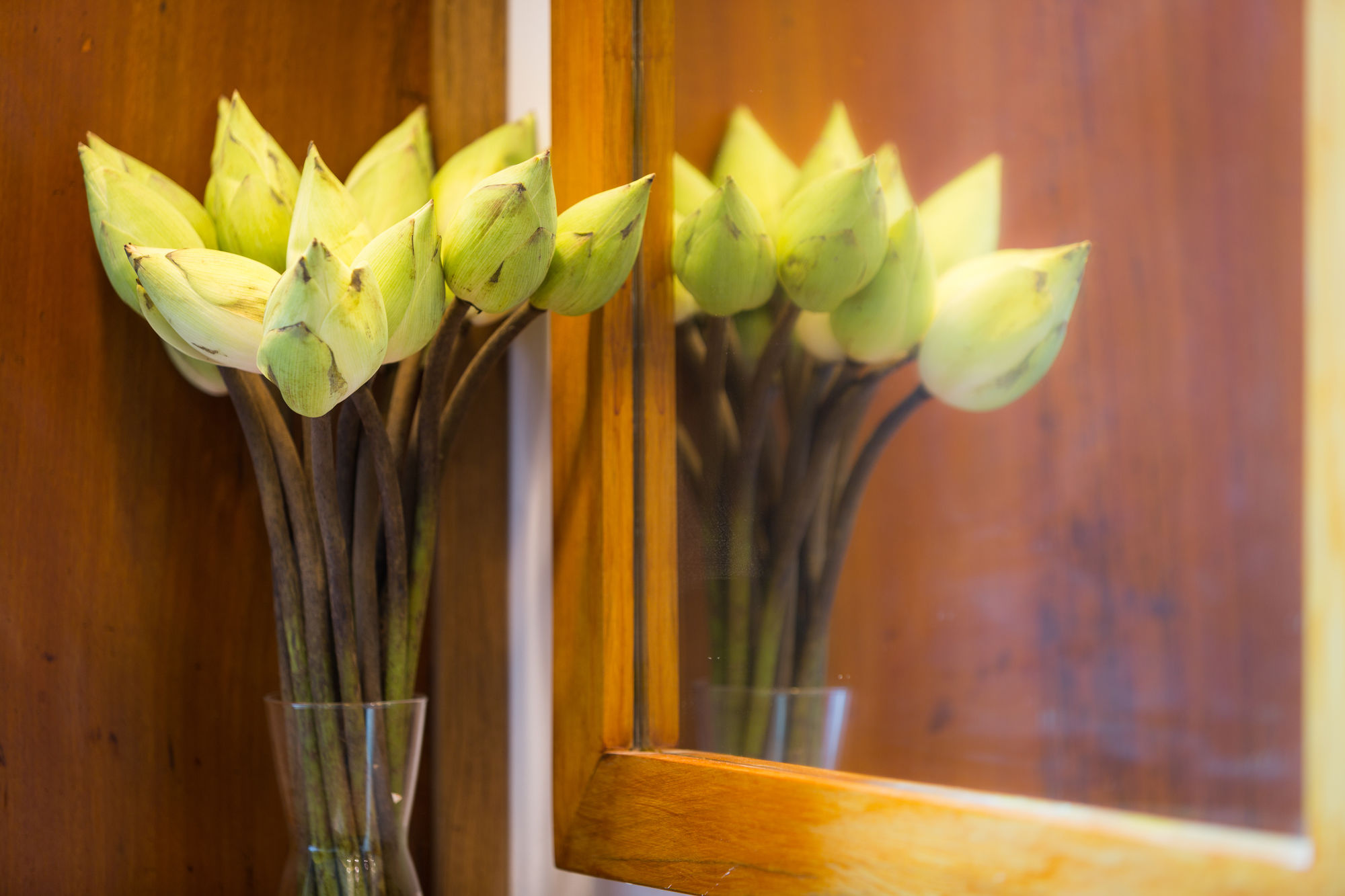 Фото Shintana Saya Residence