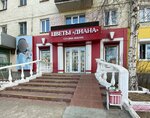 DianaFlora (ulitsa Tereshkovoy, 11), flower shop