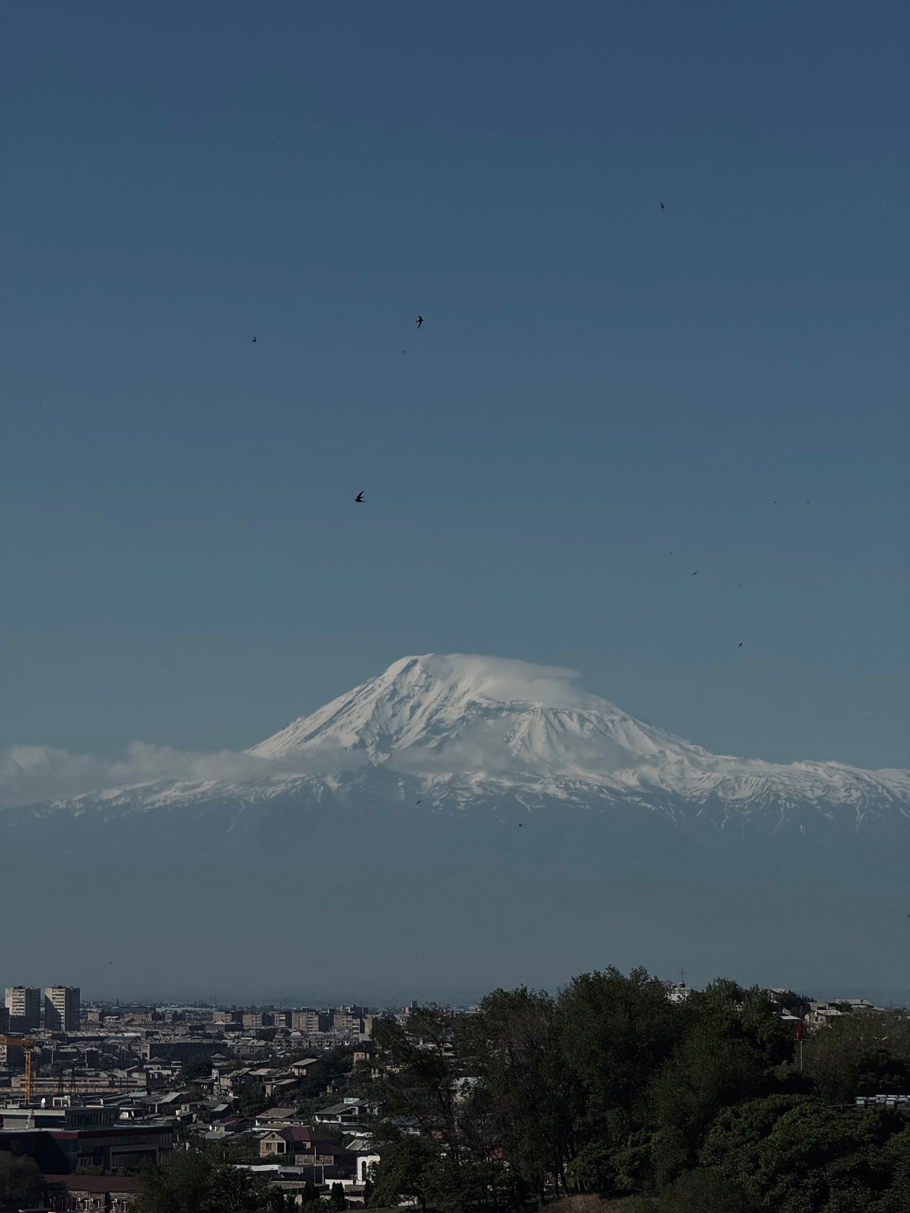 Фото Apricot Hotel Yerevan