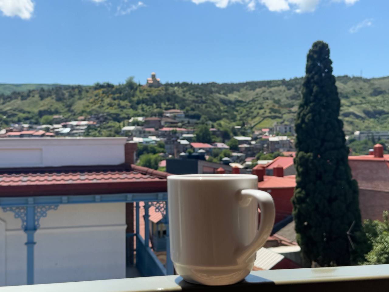 Фото Фламинго