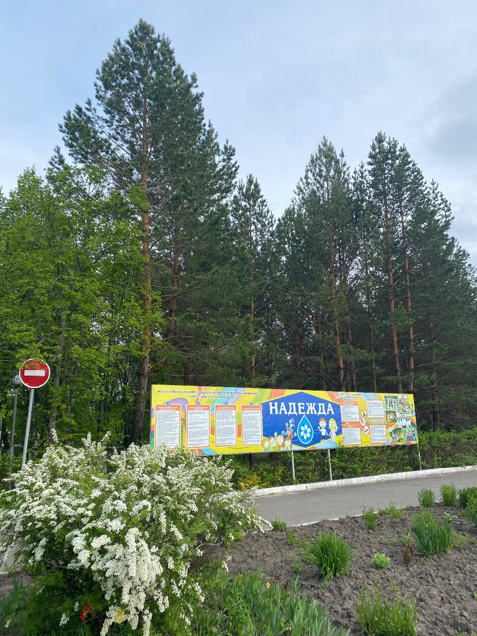 Фото Надежда