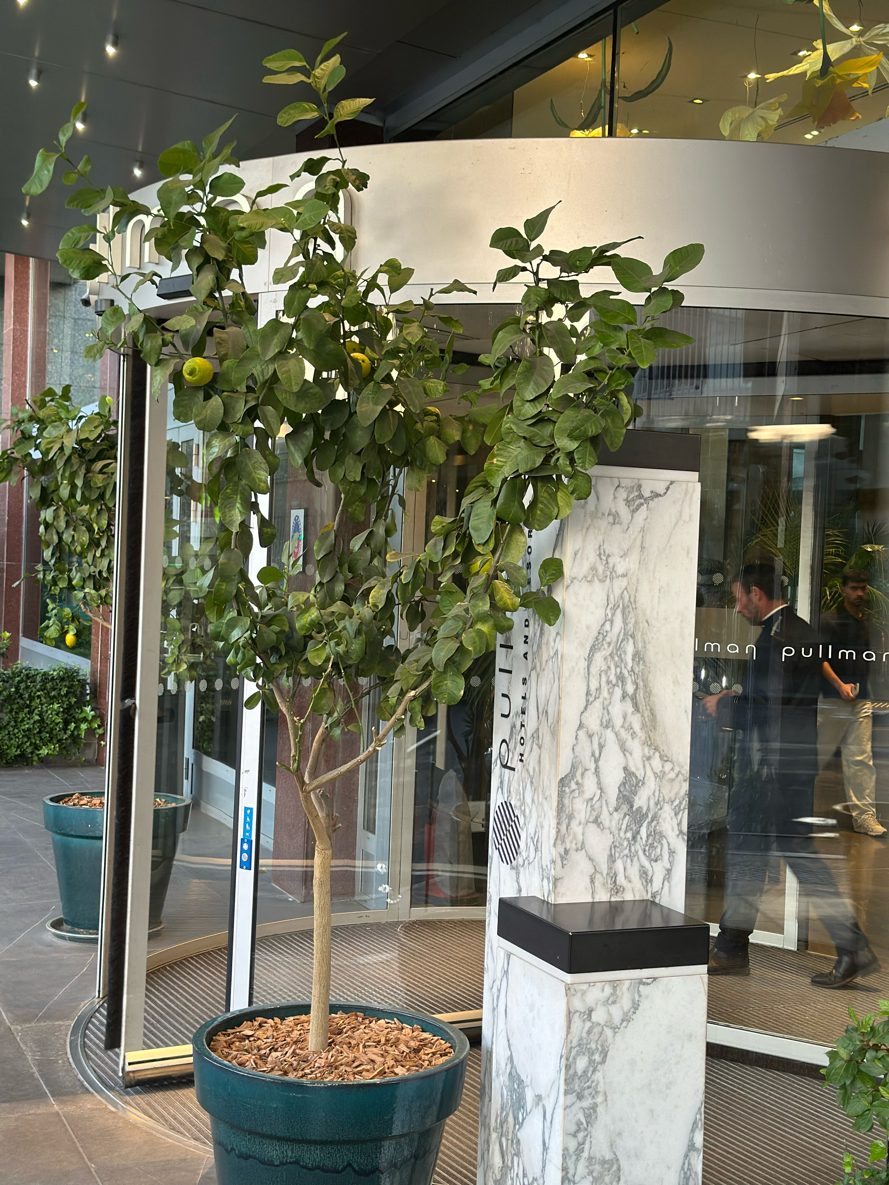 Фото Pullman Paris Tour Eiffel