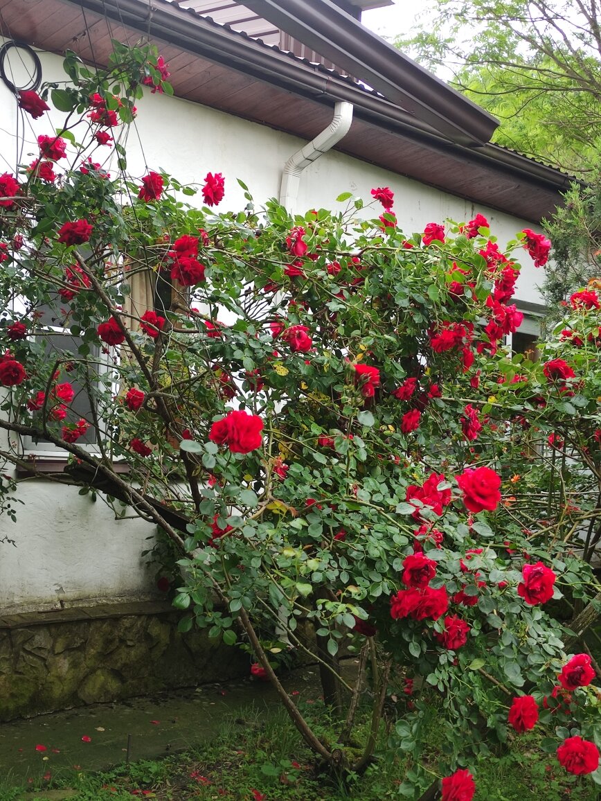 Фото Дом у Дольмена