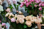 Cocos Flower Studio (Petrogradskaya Embankment, 20) ، محل زهور