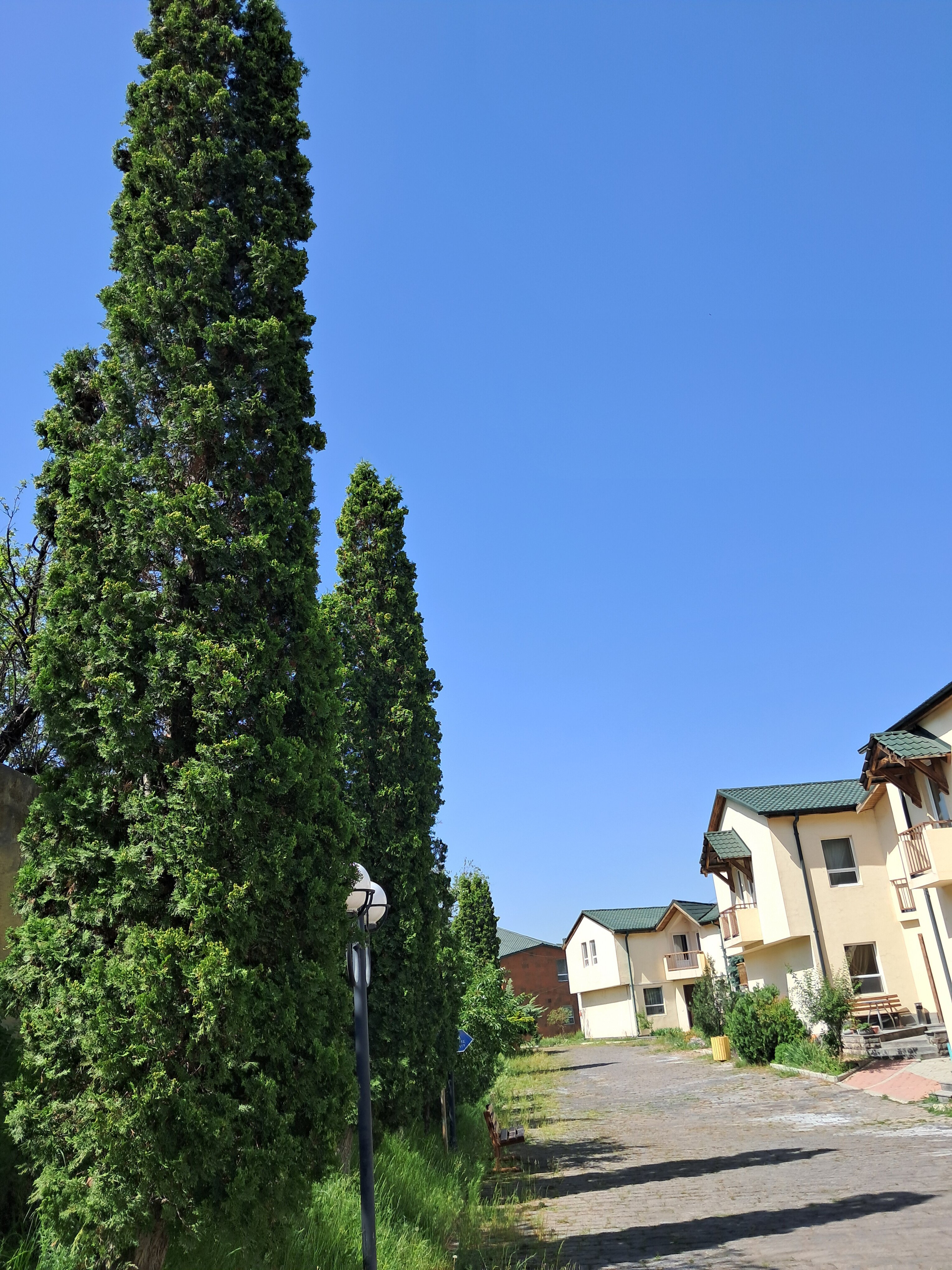 Фото Armenian Village Park Hotel