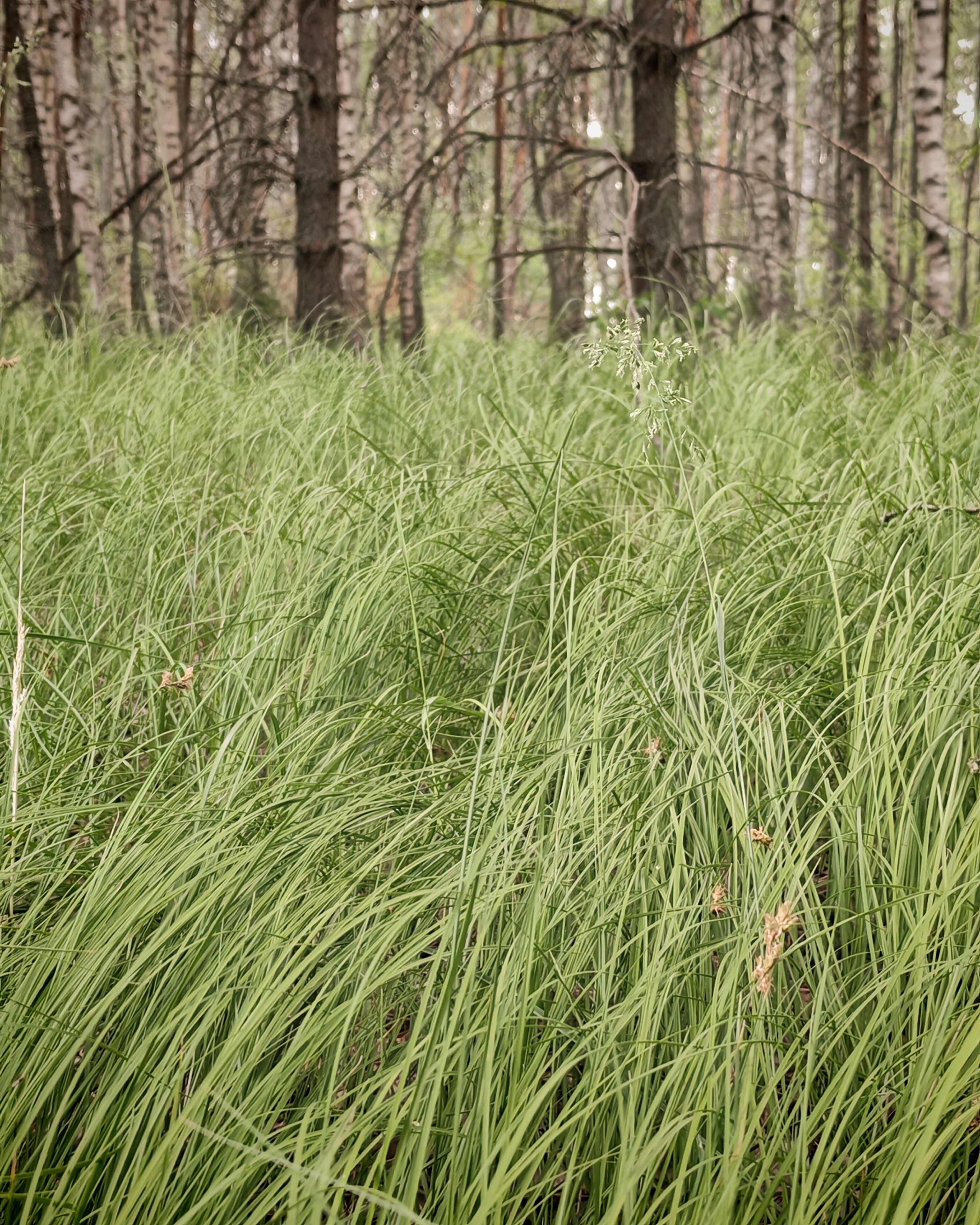 Фото Экодача 12 месяцев