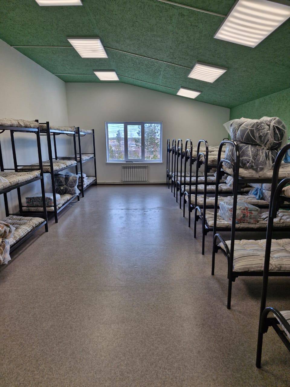 Фото Тундра