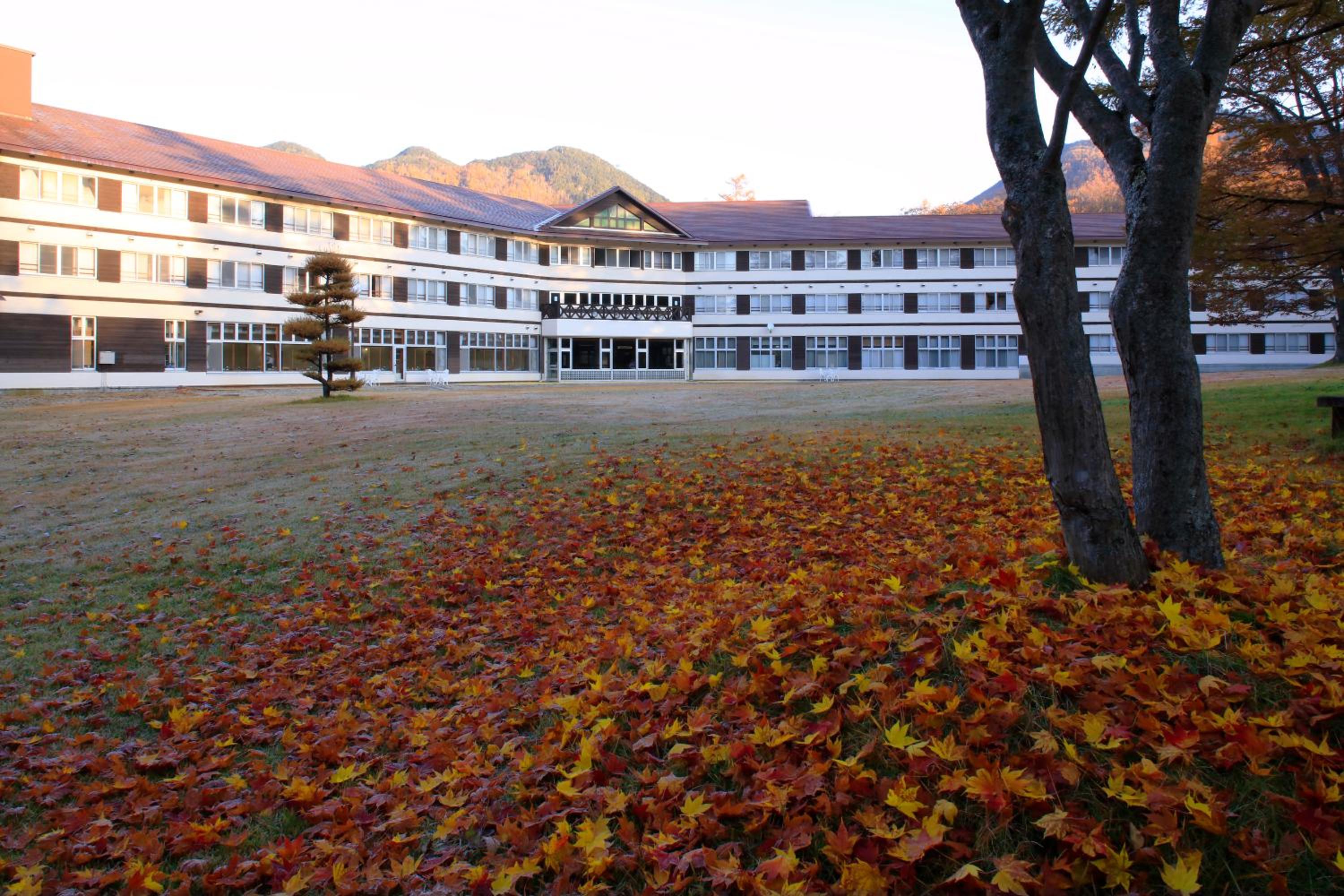 Фото Nikko Astraea Hotel