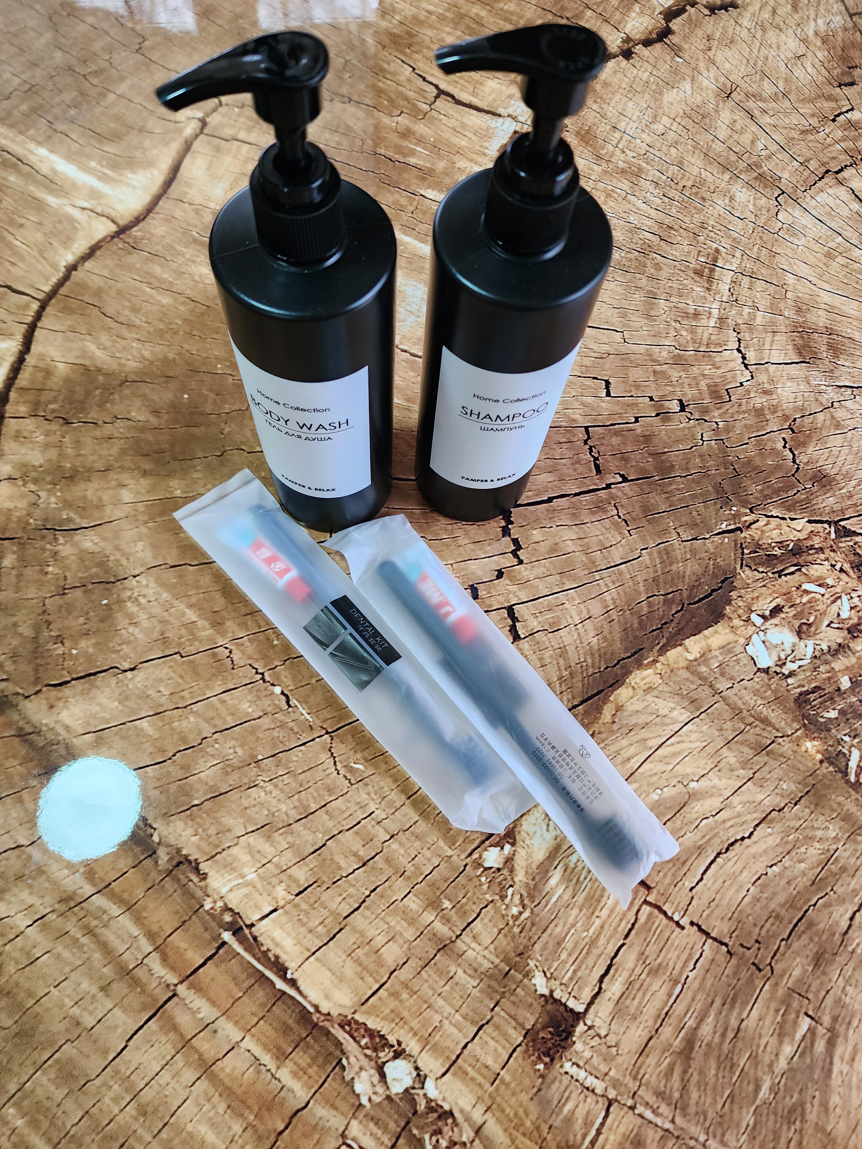 Фото Shelest Lesa