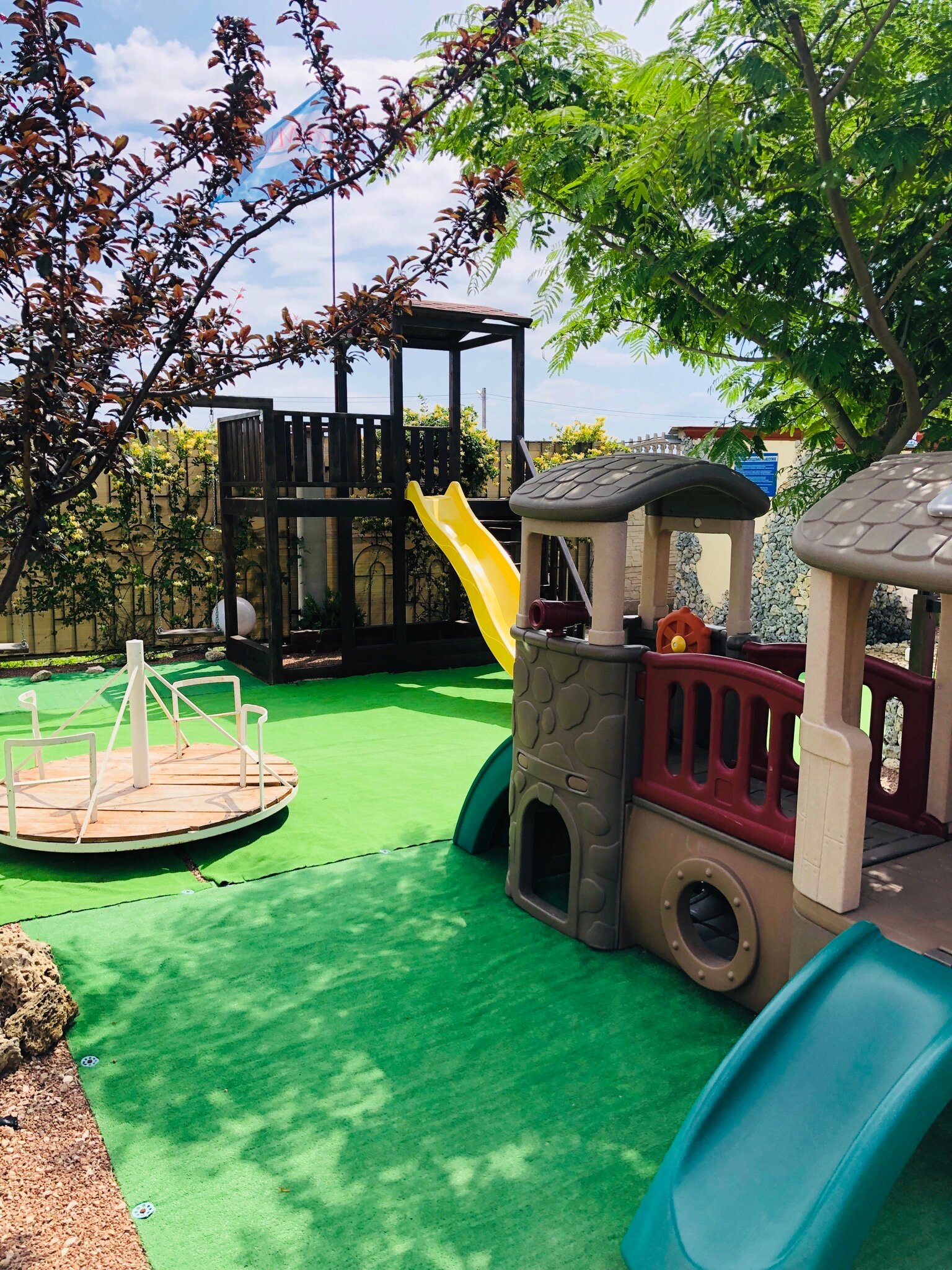 Фото Амидея