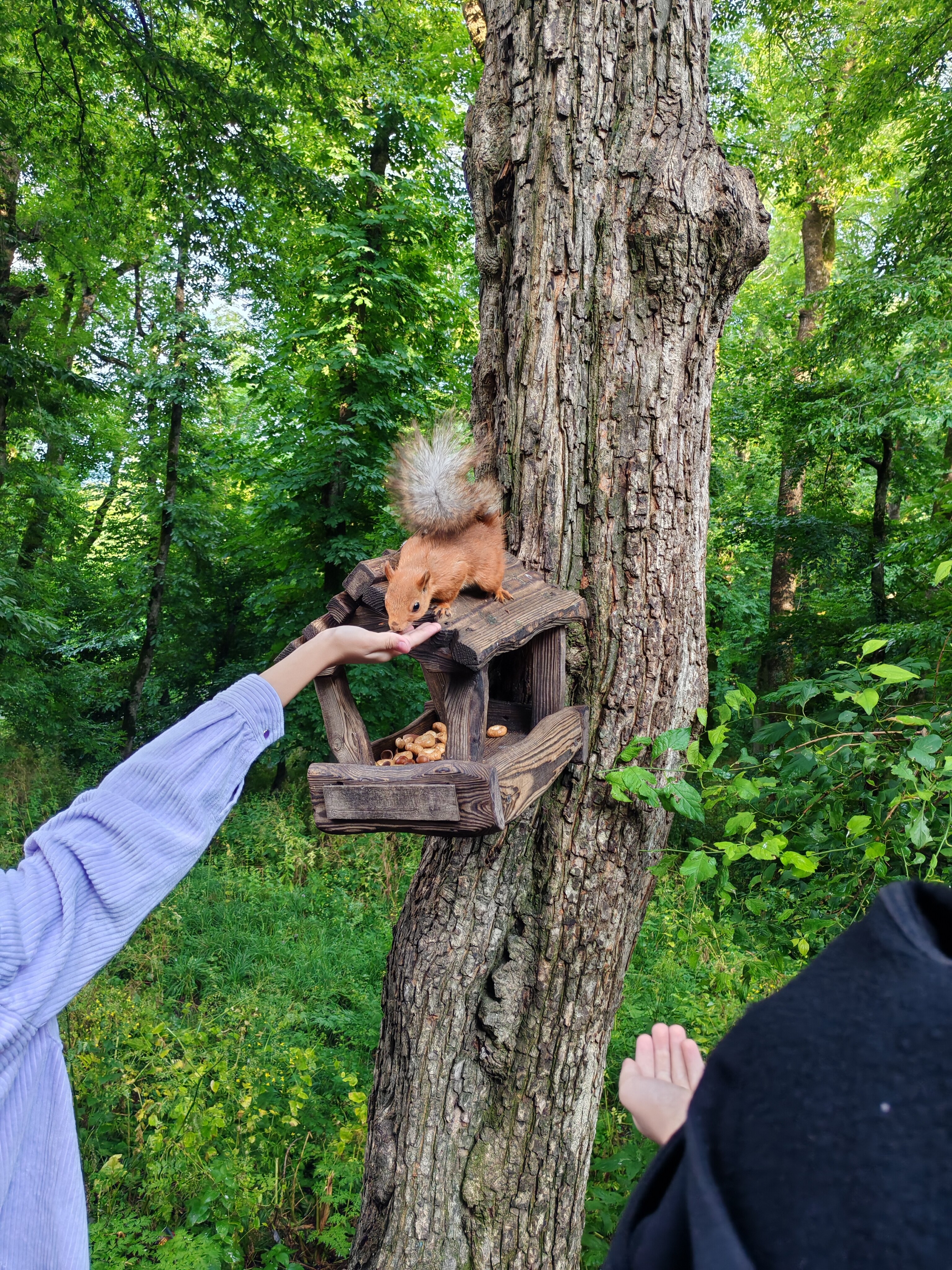 Фото Источник Железноводск