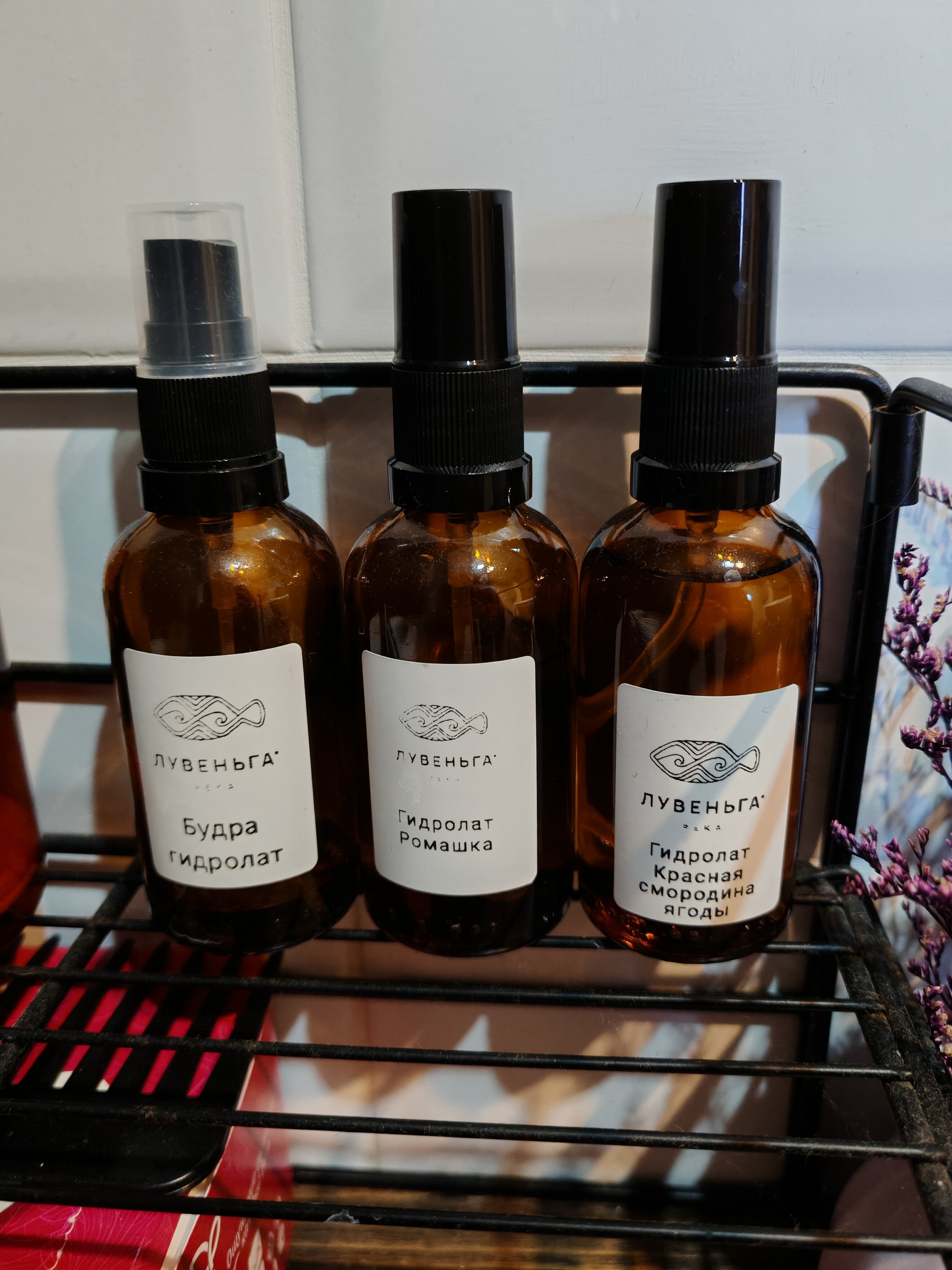 Фото Лувеньга река