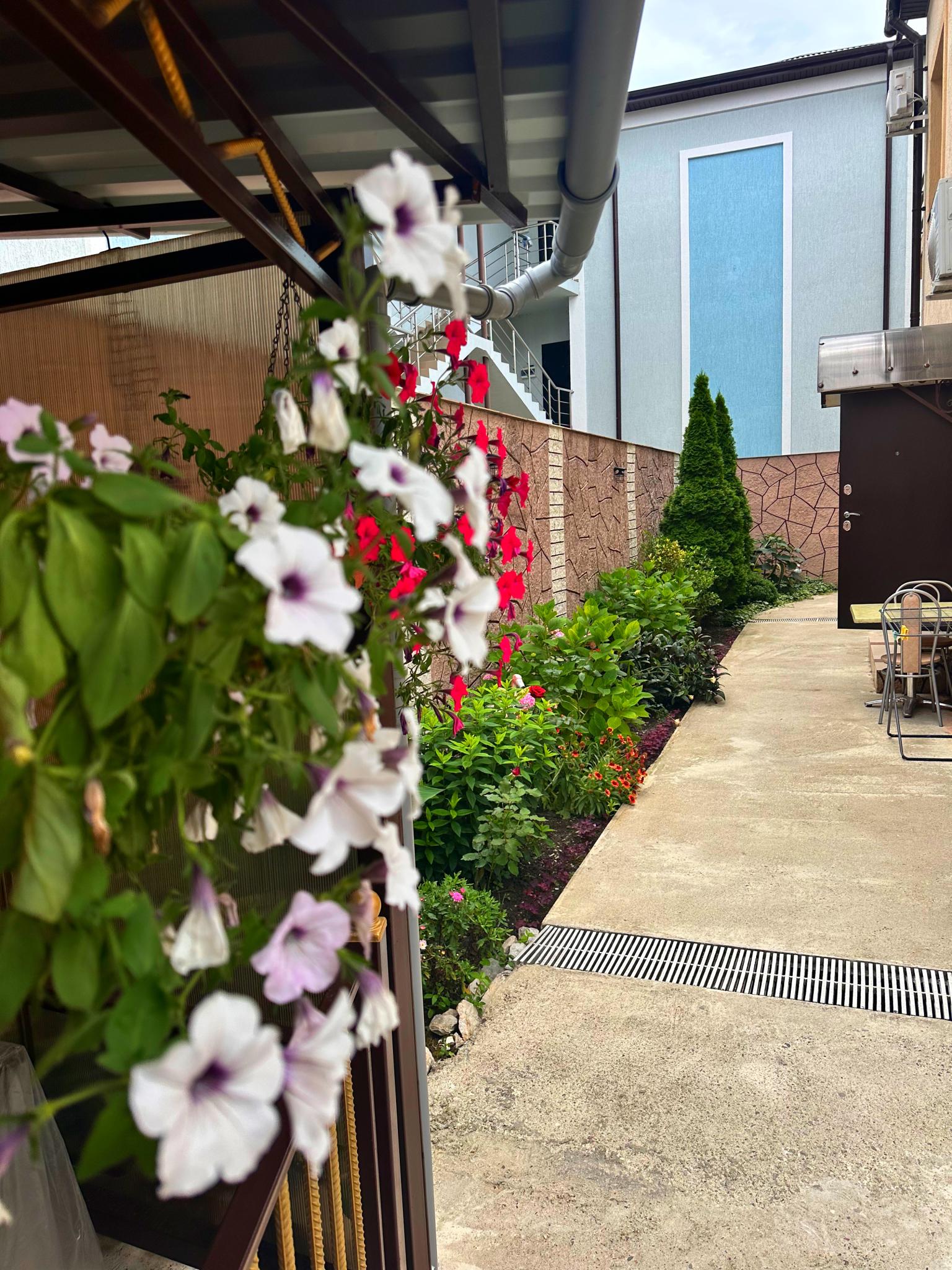 Фото Дача на Мзымтинской