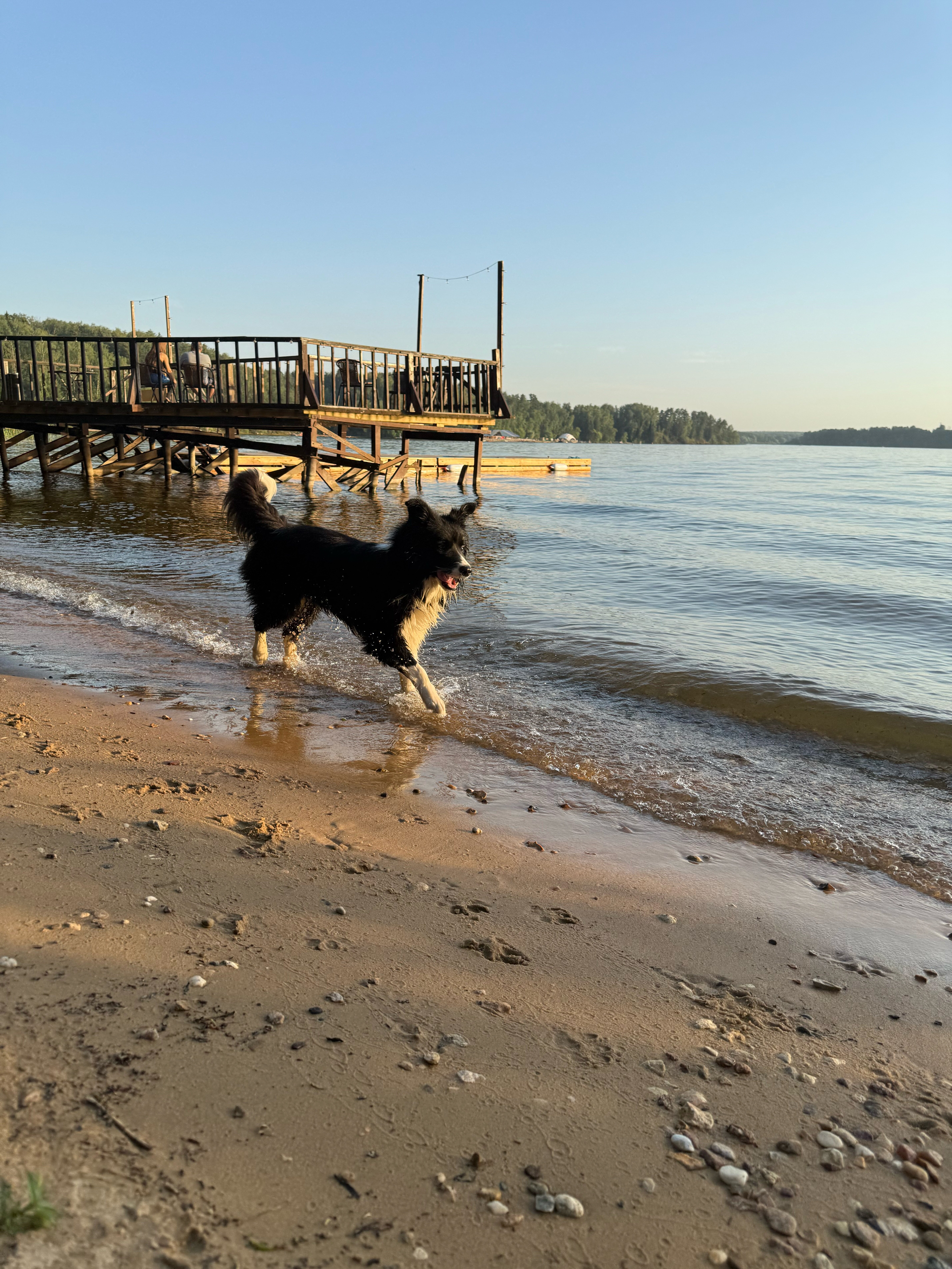 Фото Лада hotel