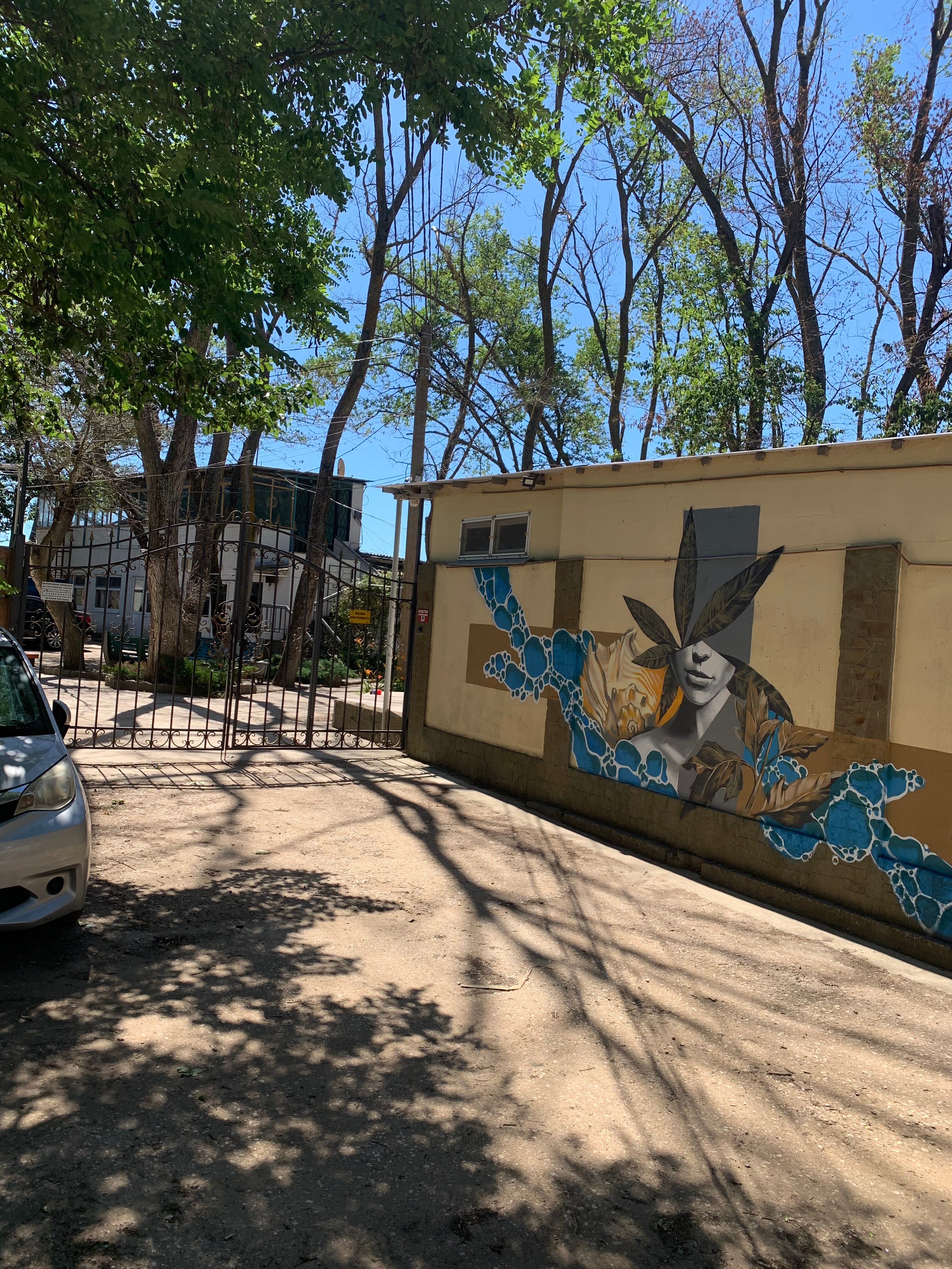 Фото Жемчужный