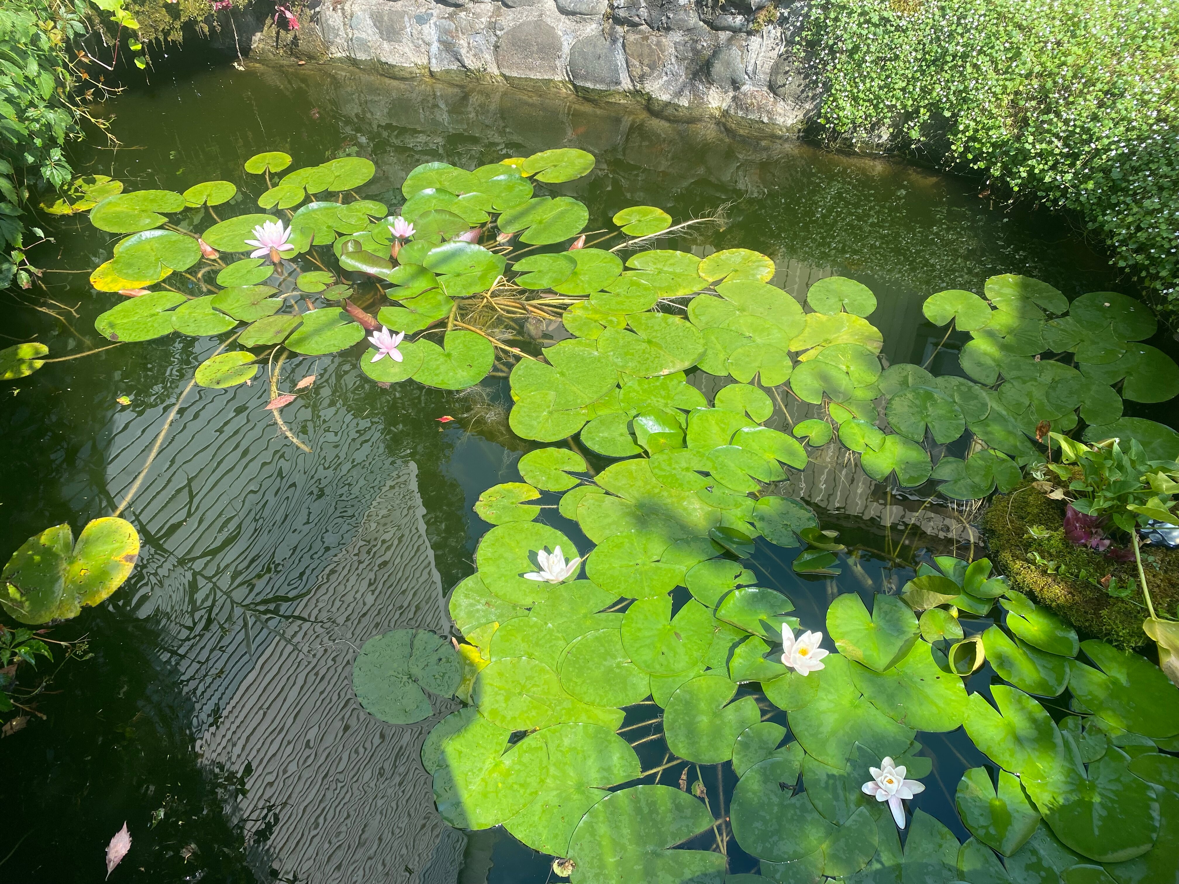 Фото Пирамида