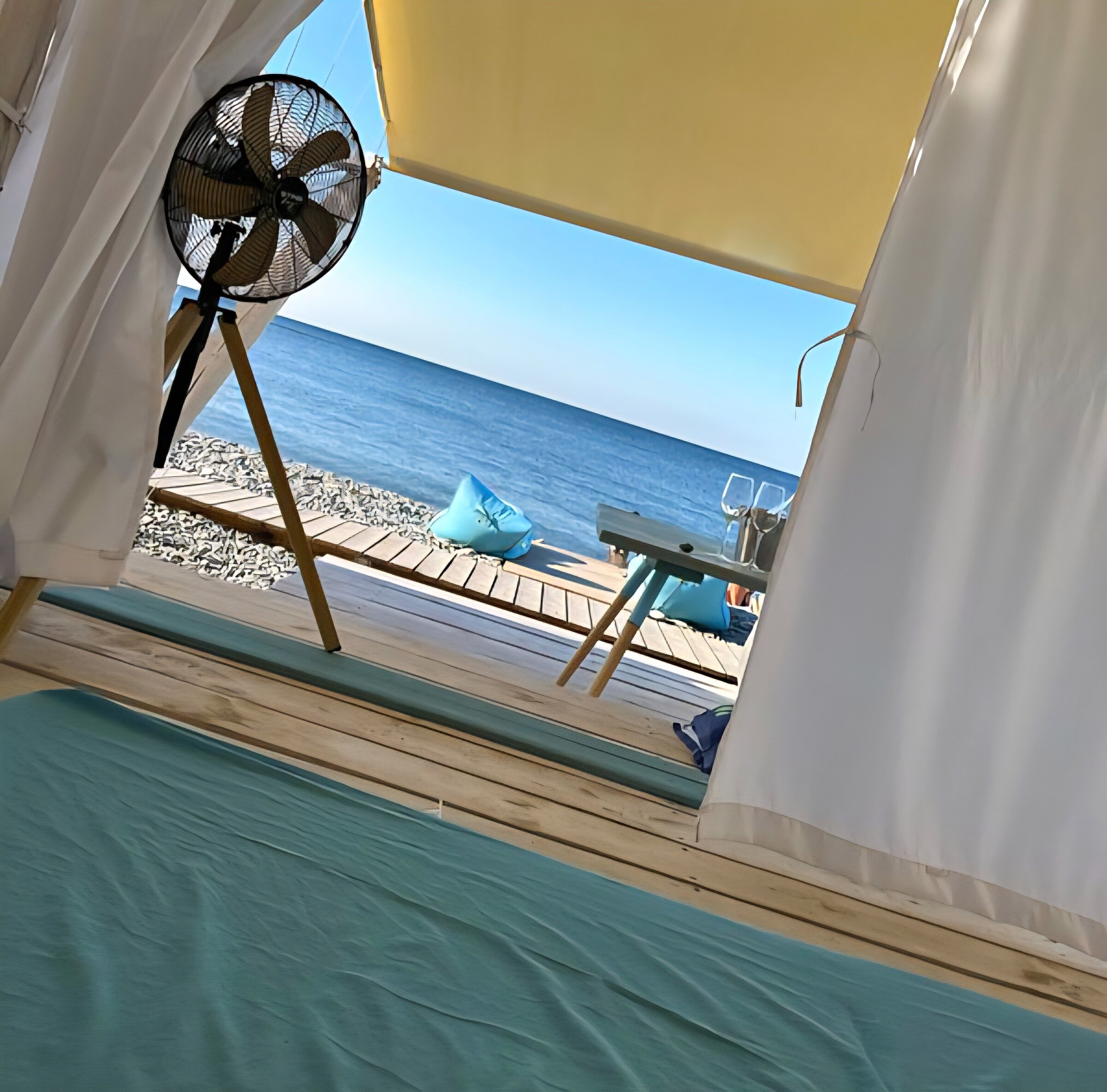 Фото Звезда