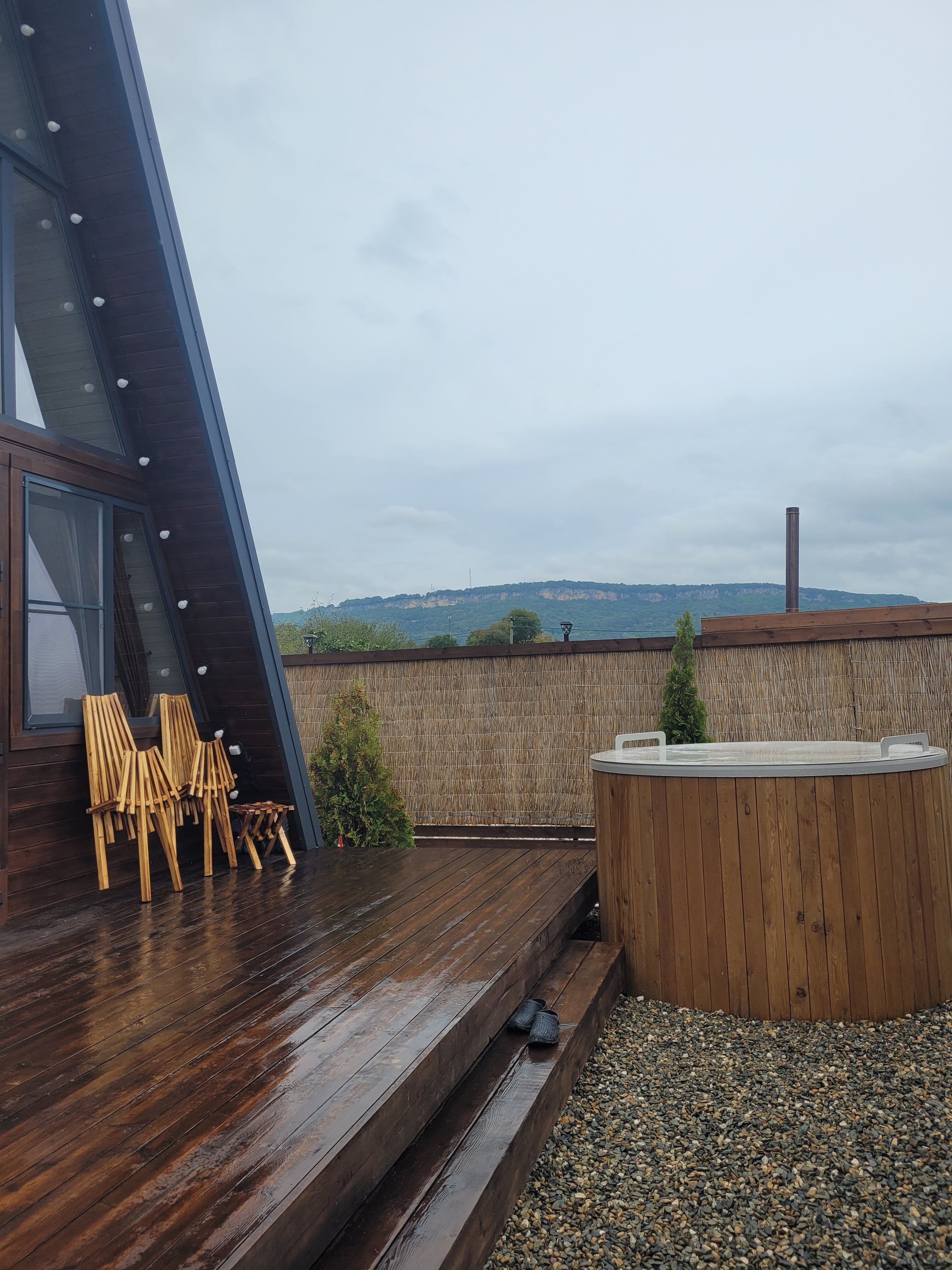 Фото Ёлки-Иголки