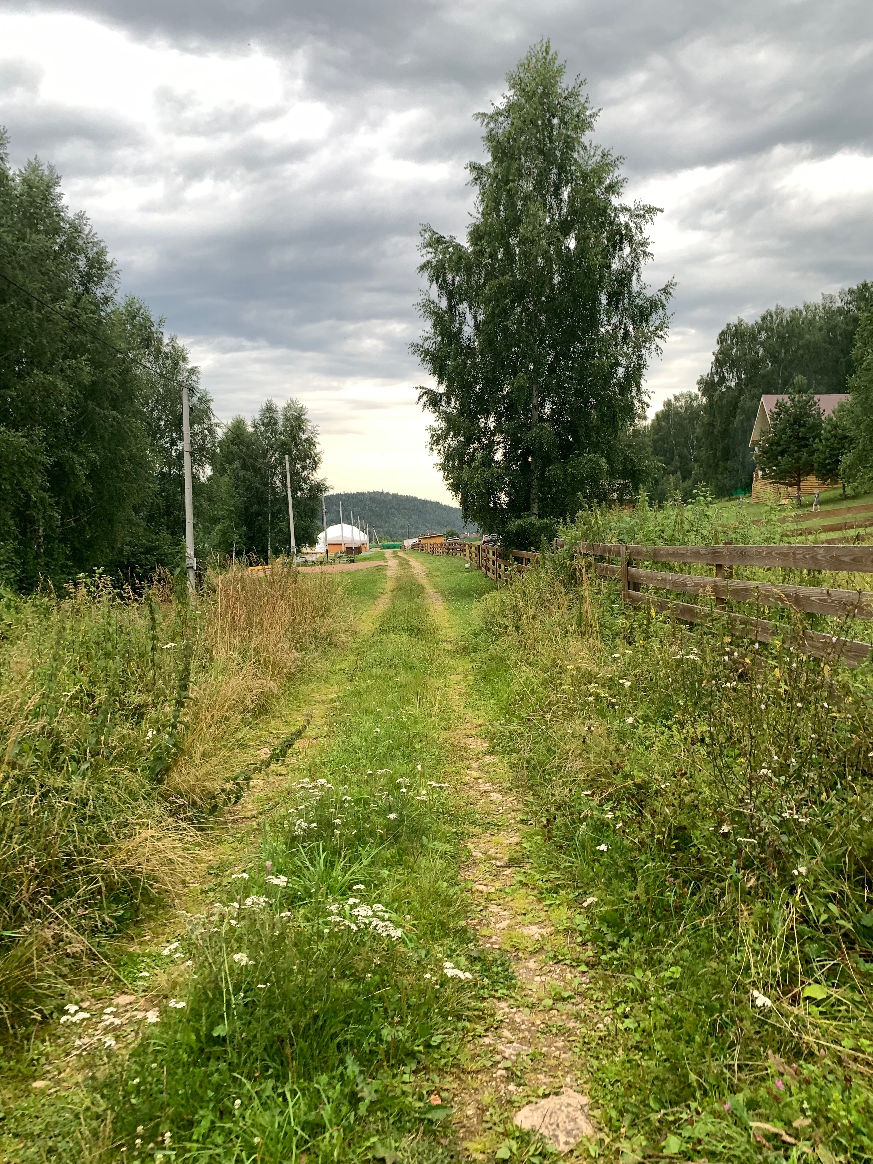 Фото Прилесье