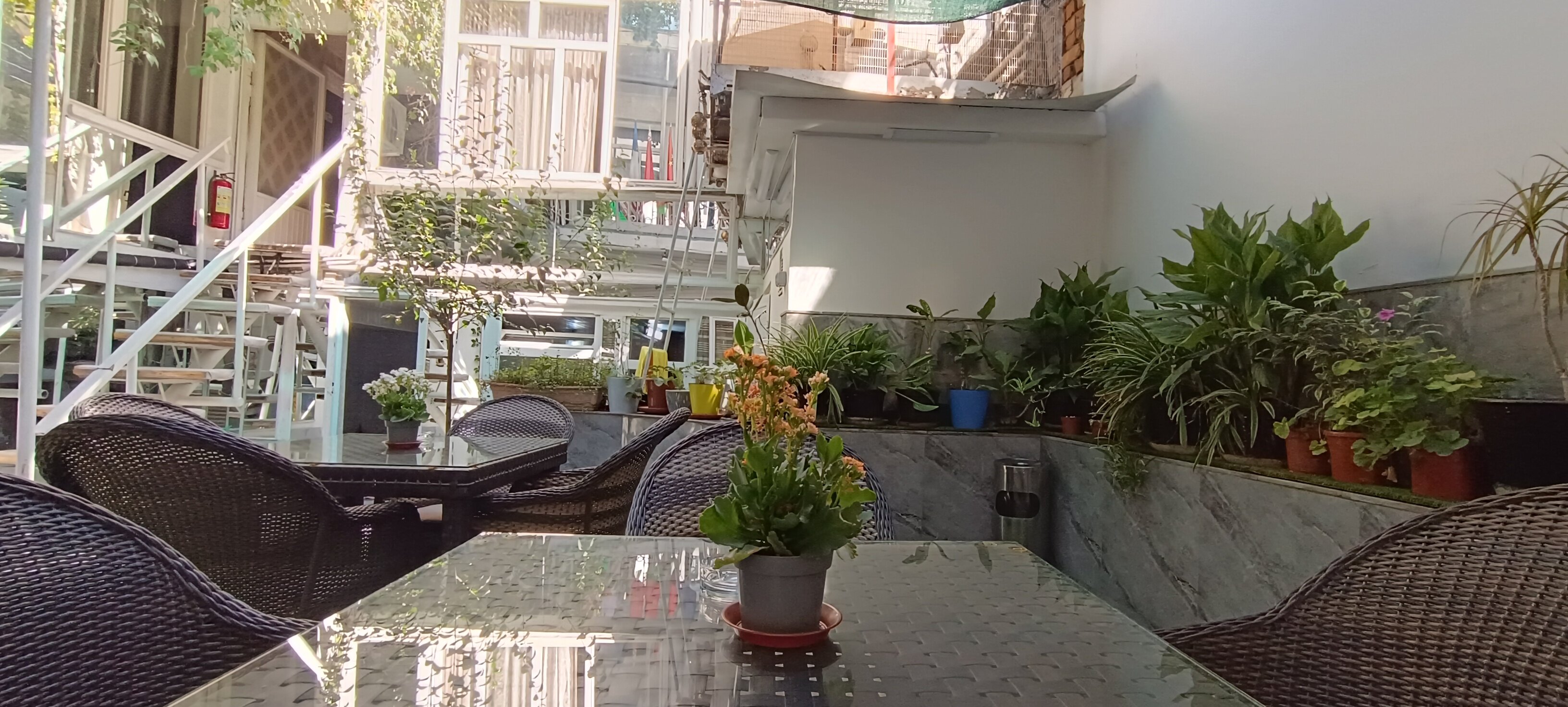 Фото Anvar's Guests