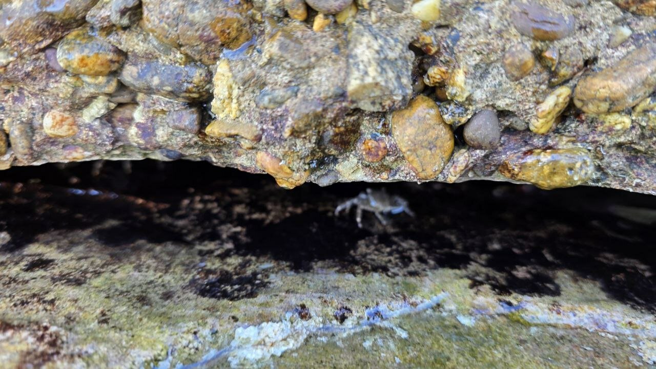 Фото Уютный