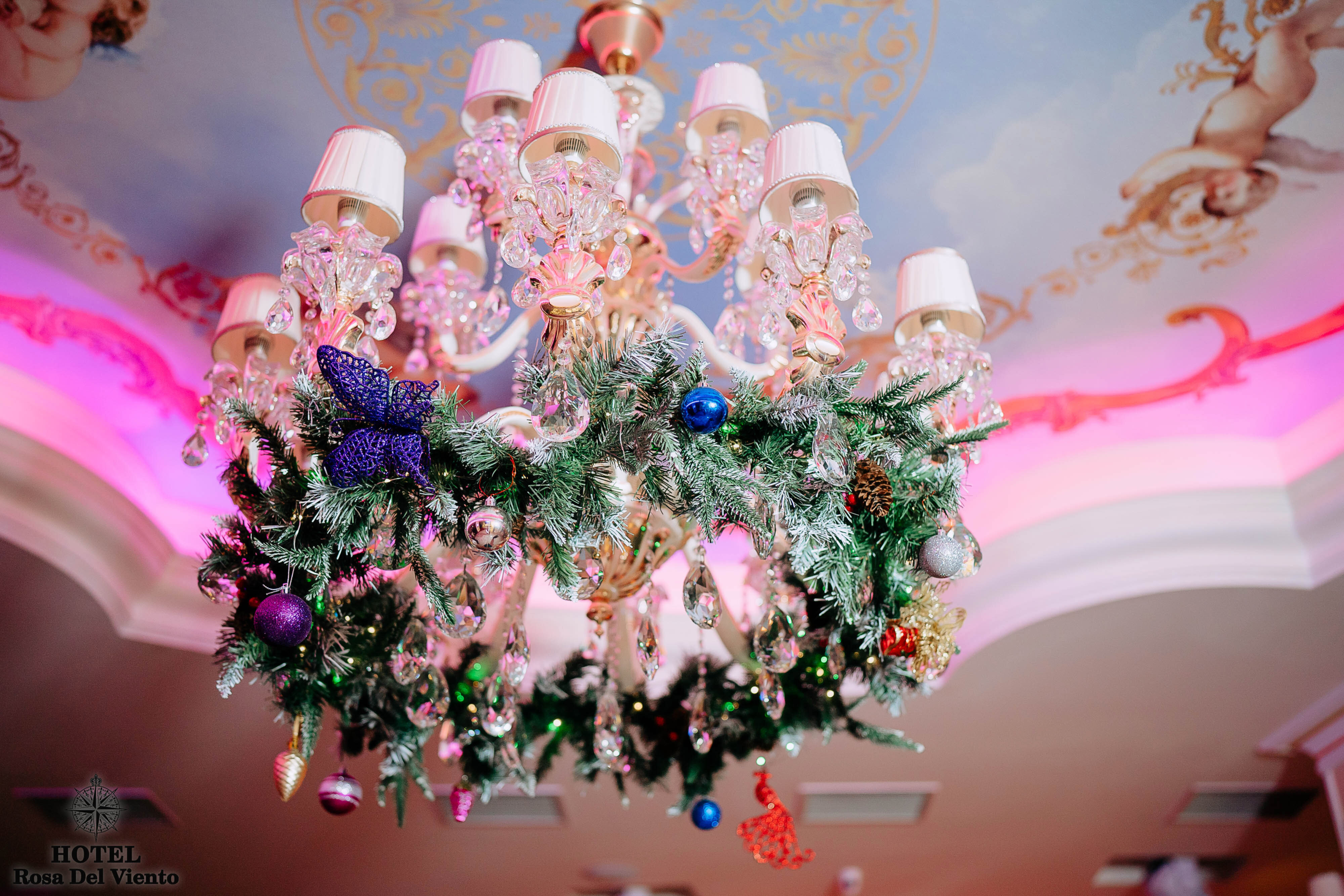 Фото Rosa Del Viento