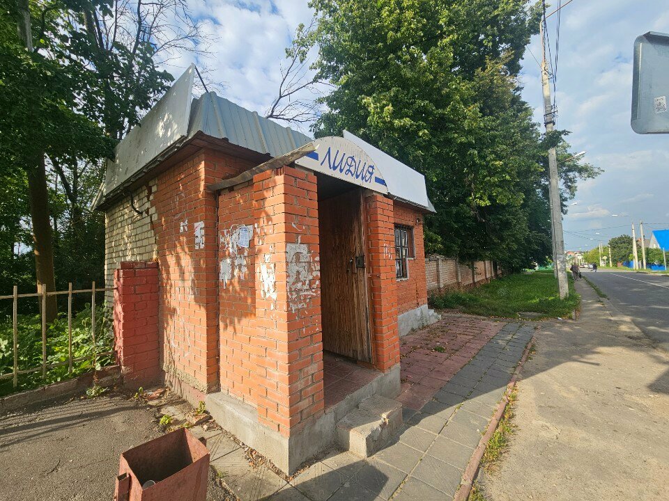 Grocery Лидия, Orel, photo