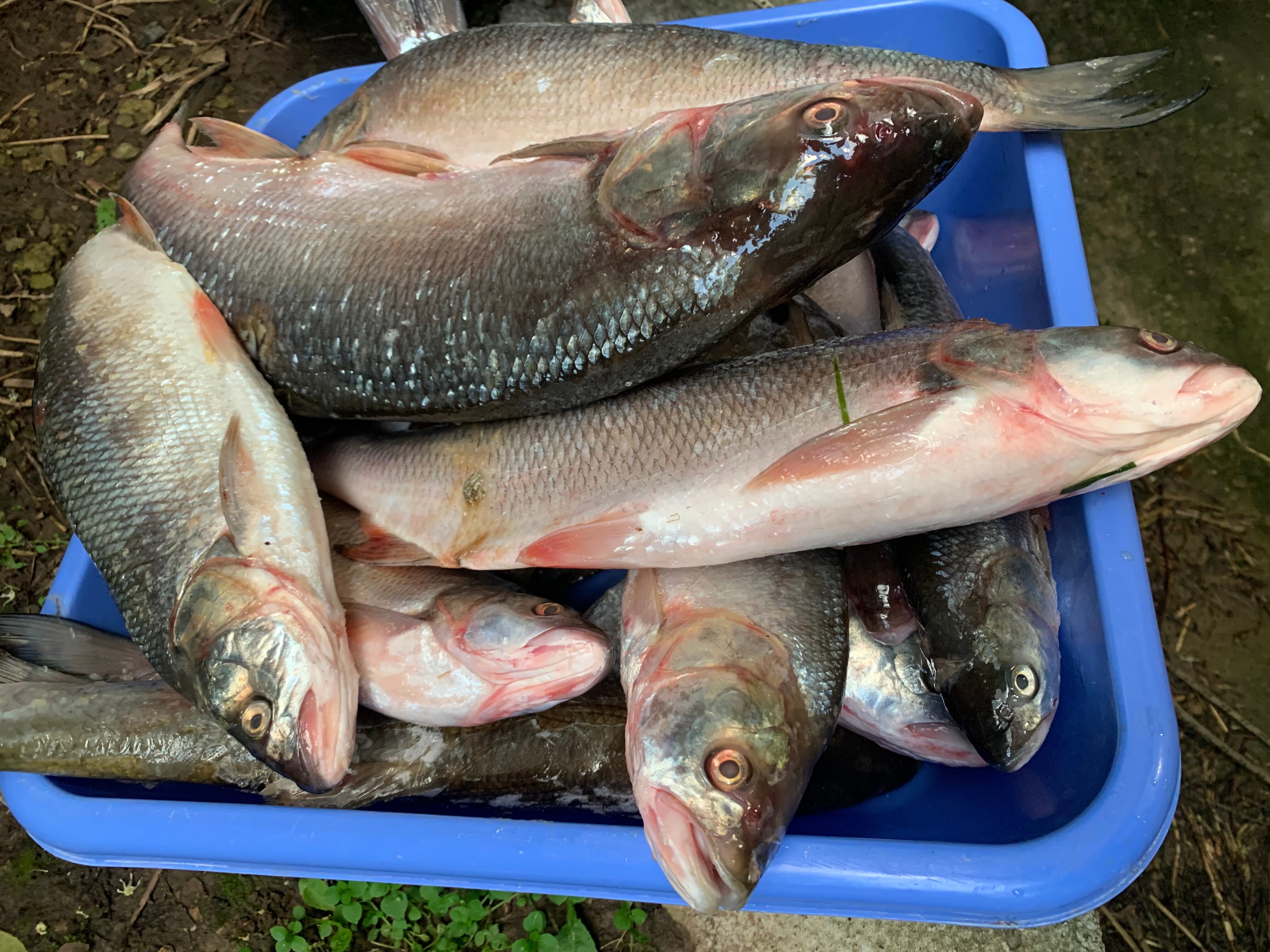 Фото Воложка Villas