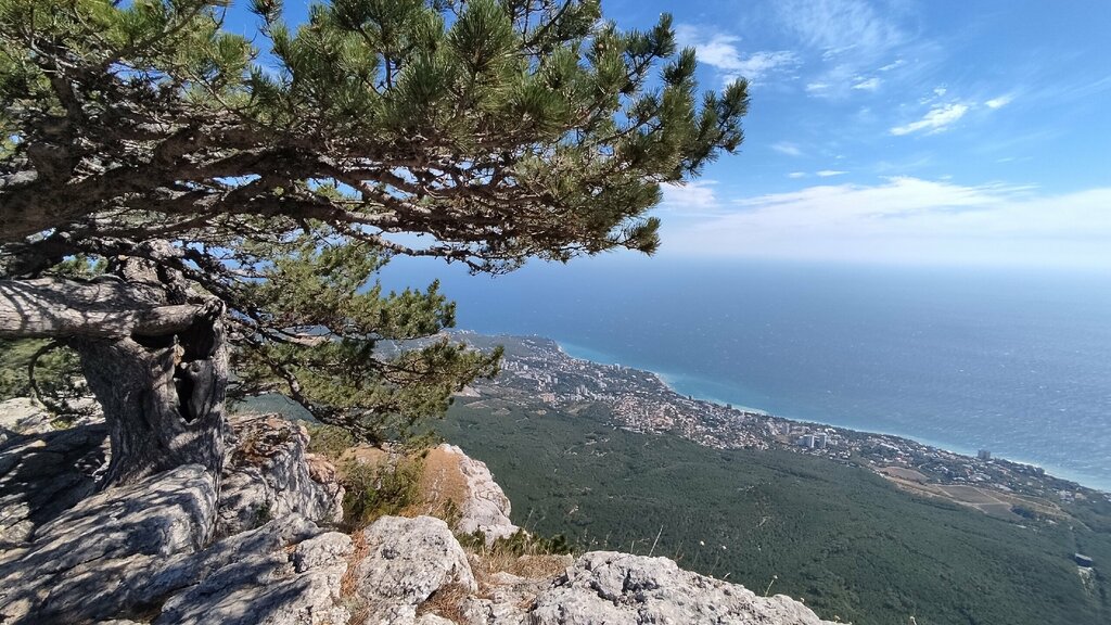 Горная вершина Высота 484 метра, Республика Крым, фото