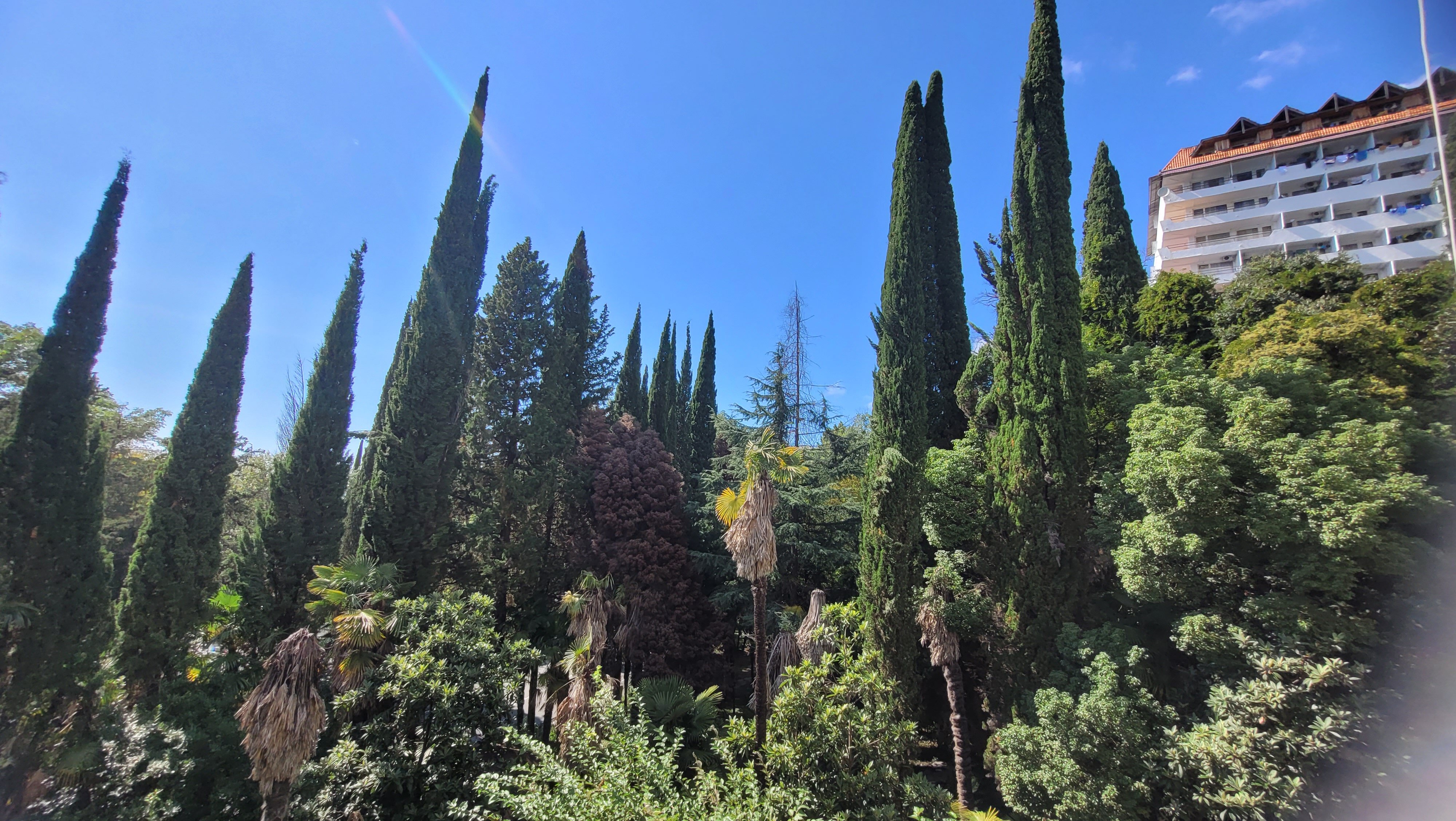 Фото Отель Гагра