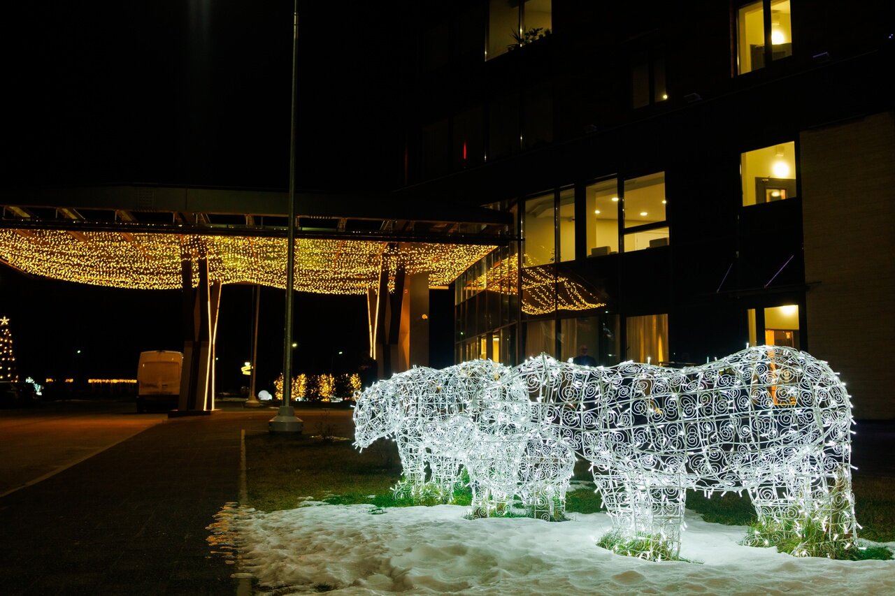 Фото Владимировский