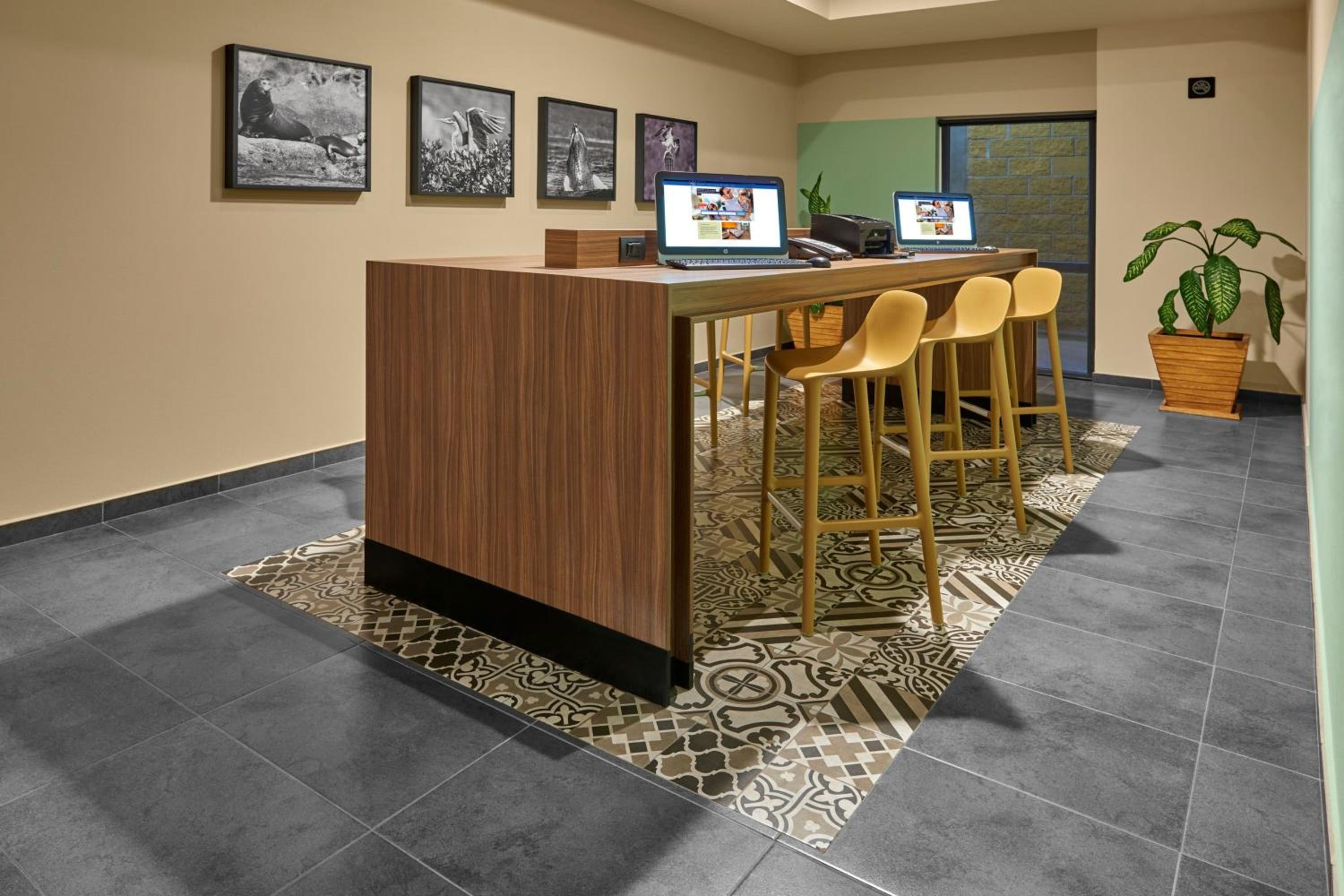 Фото City Express Suites by Marriott Cabo San Lucas