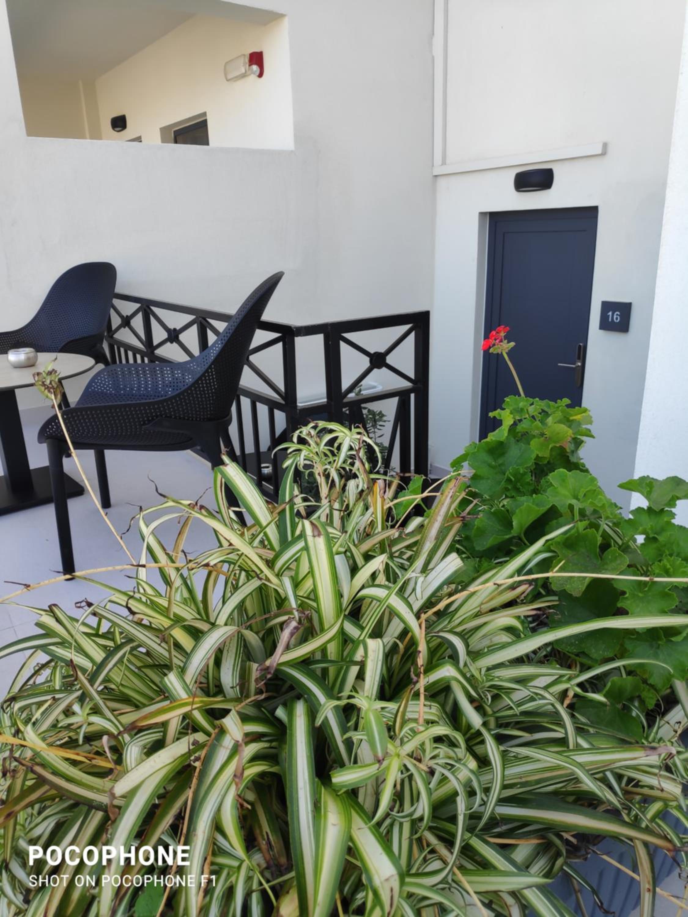 Фото Minois Boutique Hotel 