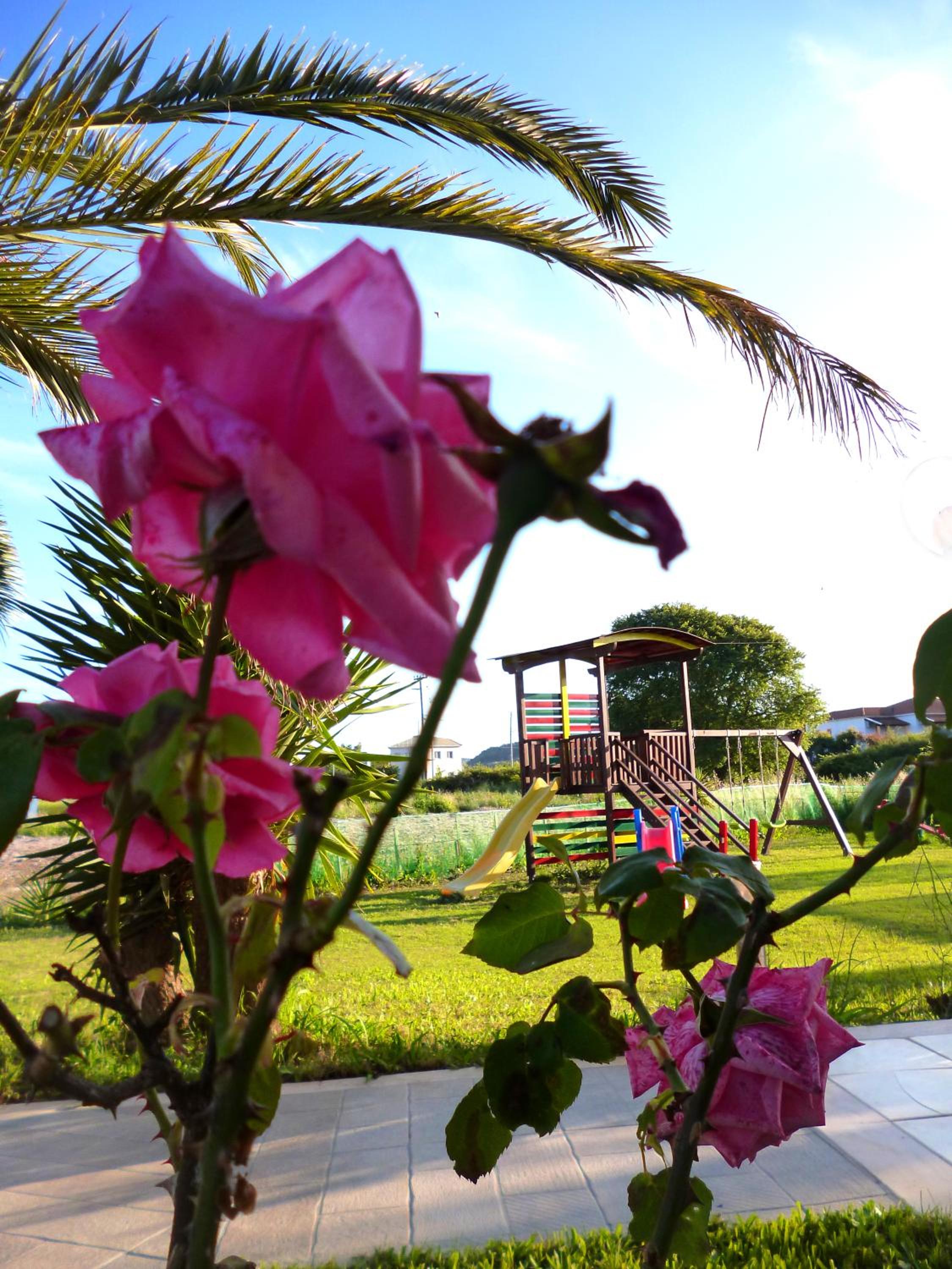 Фото Demis Apartments