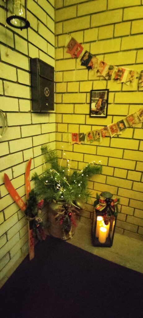 Further education Индиго, Vladimir, photo