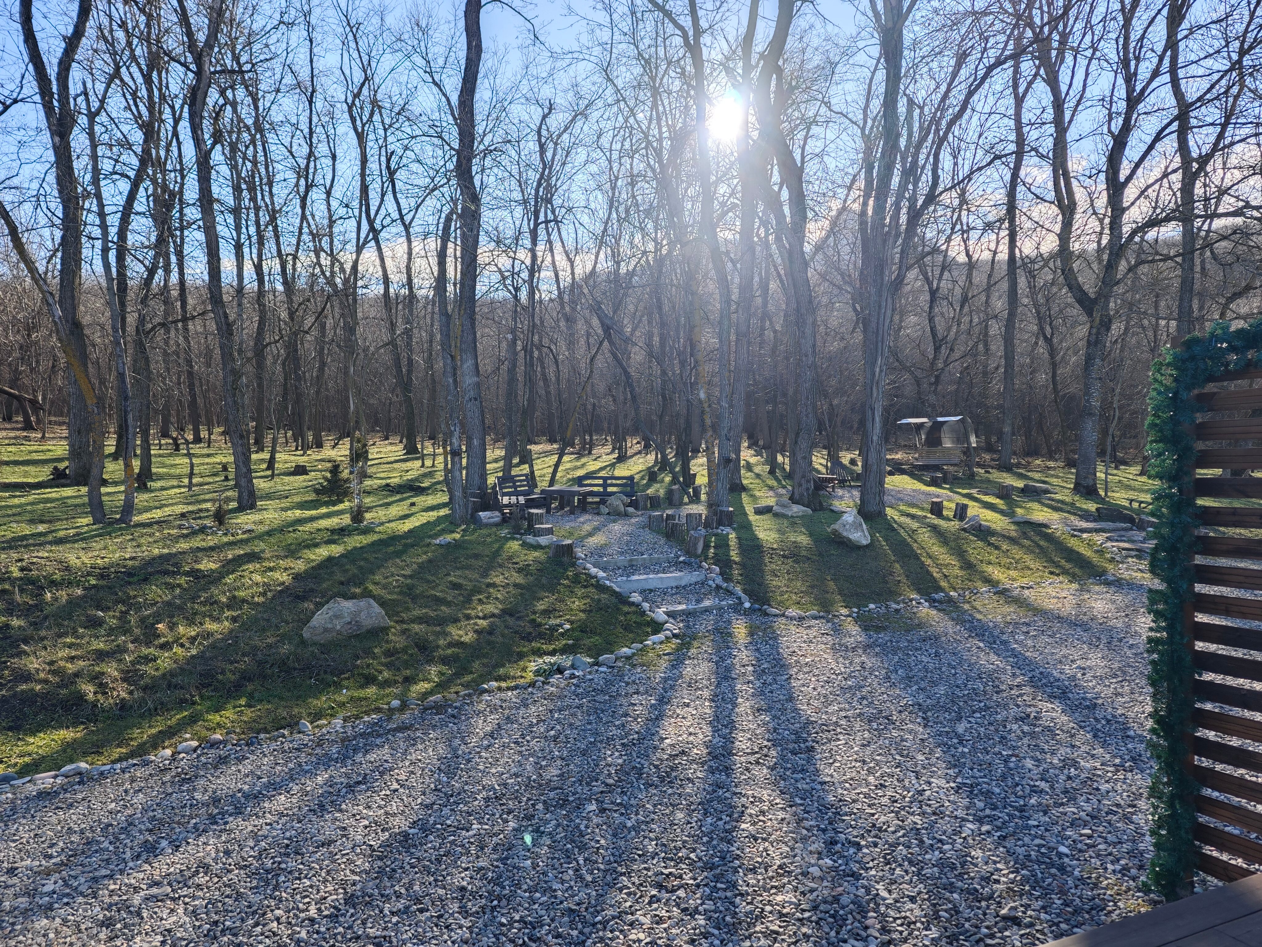 Фото Лесной уголок