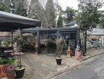 مضافة العرب شيشة مصرية Cafe Sheen (Istanbul, Sisli, Cumhuriyet Neighborhood, Aviator Fehmi Street, 37-1) ، مقهى