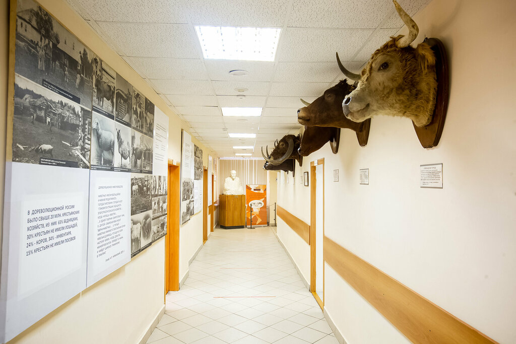 Museo State Museum of Animal Husbandry named after E. F. Liskun, , foto