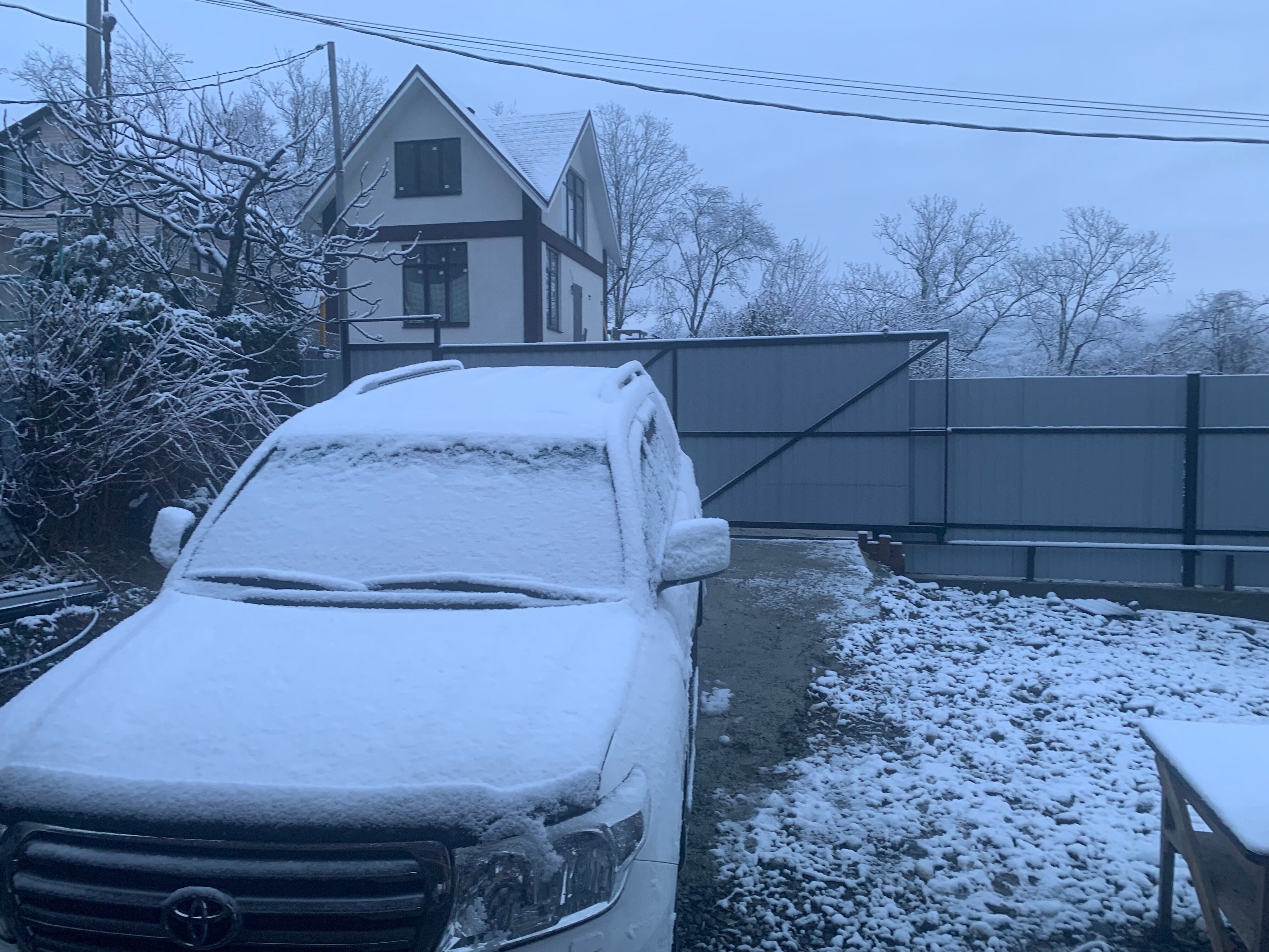 Фото Форелька