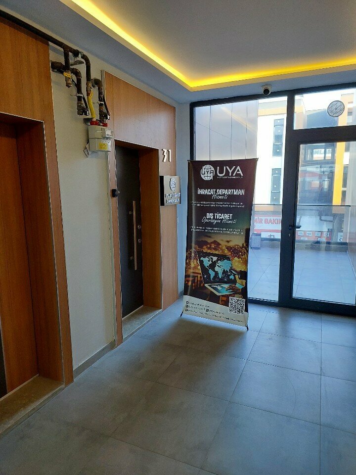 Business consulting Uya Foreign Trade Consultancy, Ankara, photo