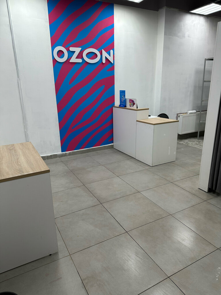 Point of delivery Ozon, Moscow, photo