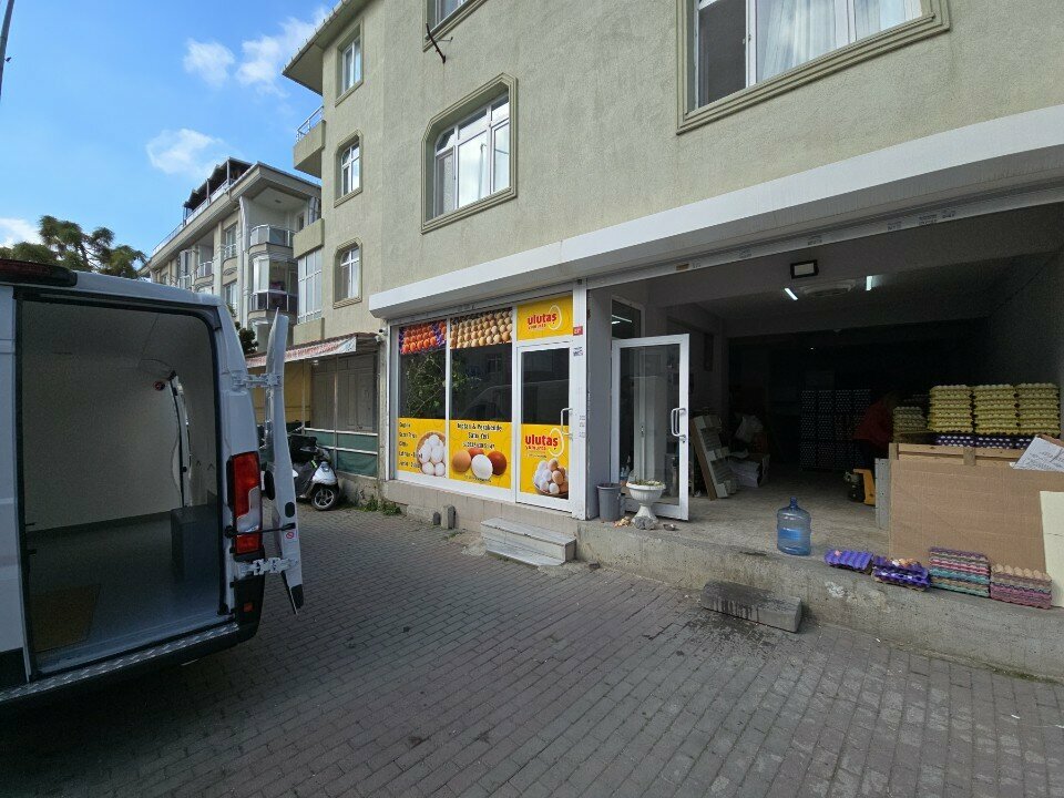 Food manufacturers Ulutas Egg, Istanbul, photo