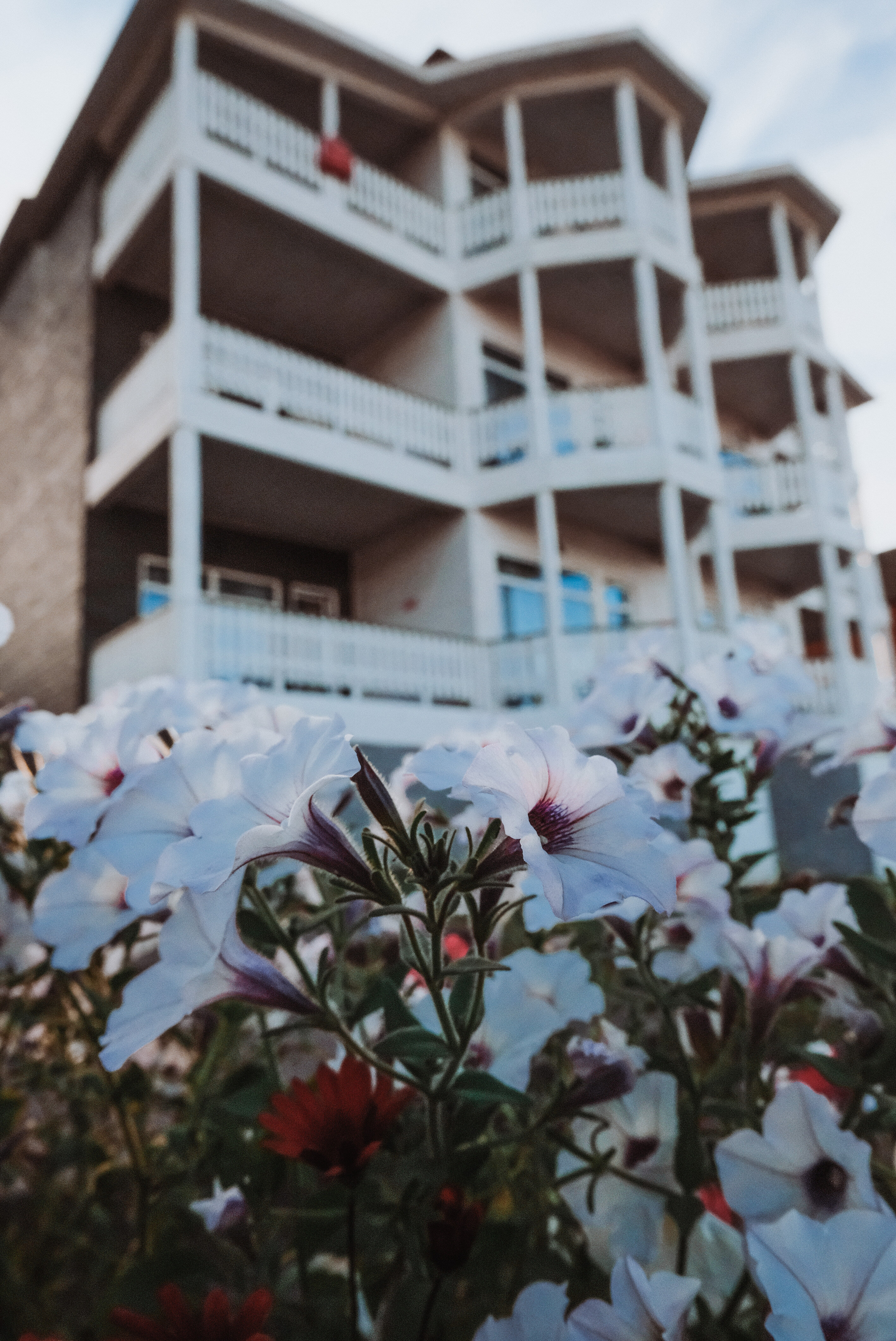 Фото Байкал Хан