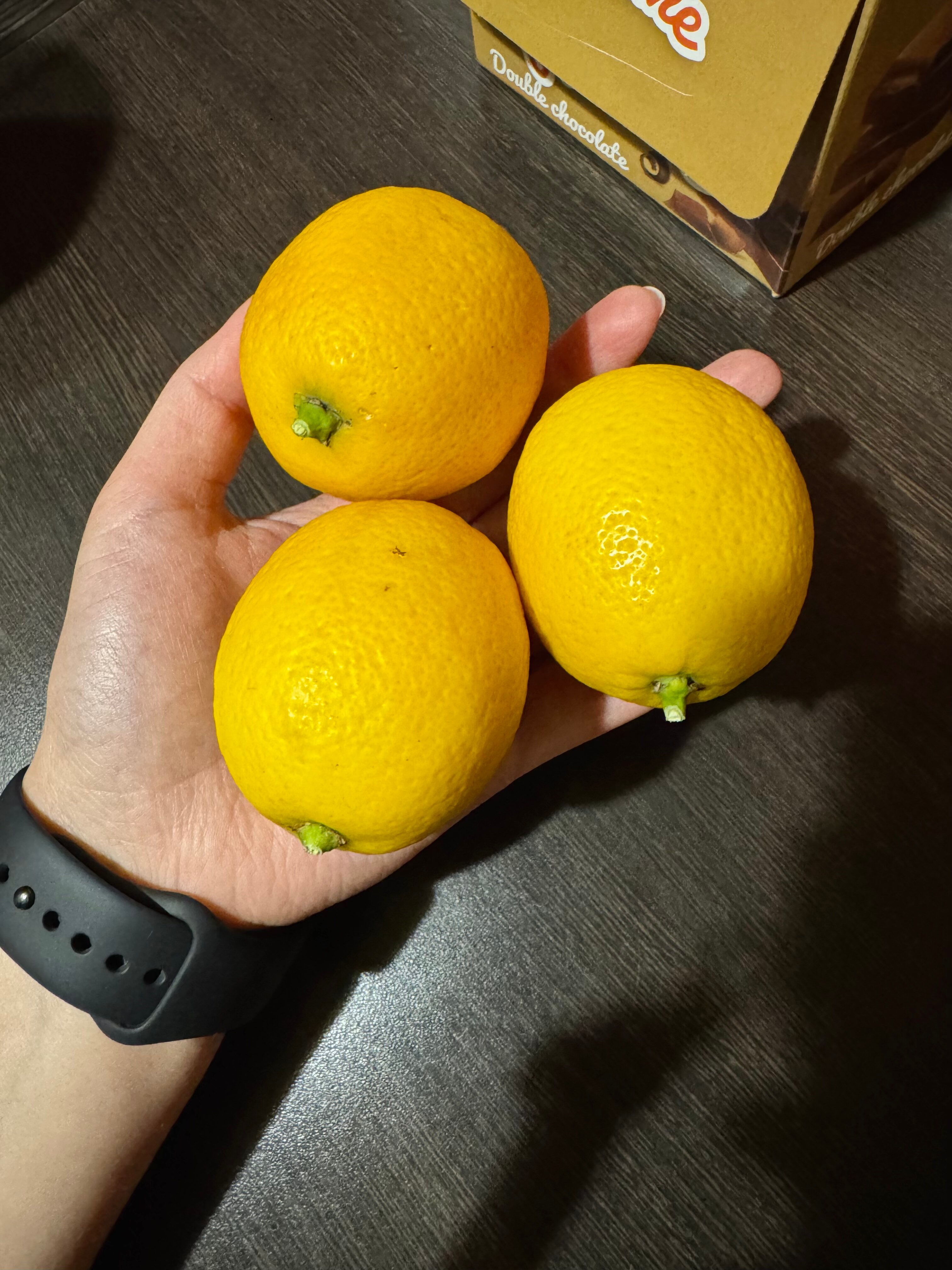 Фото Модерато