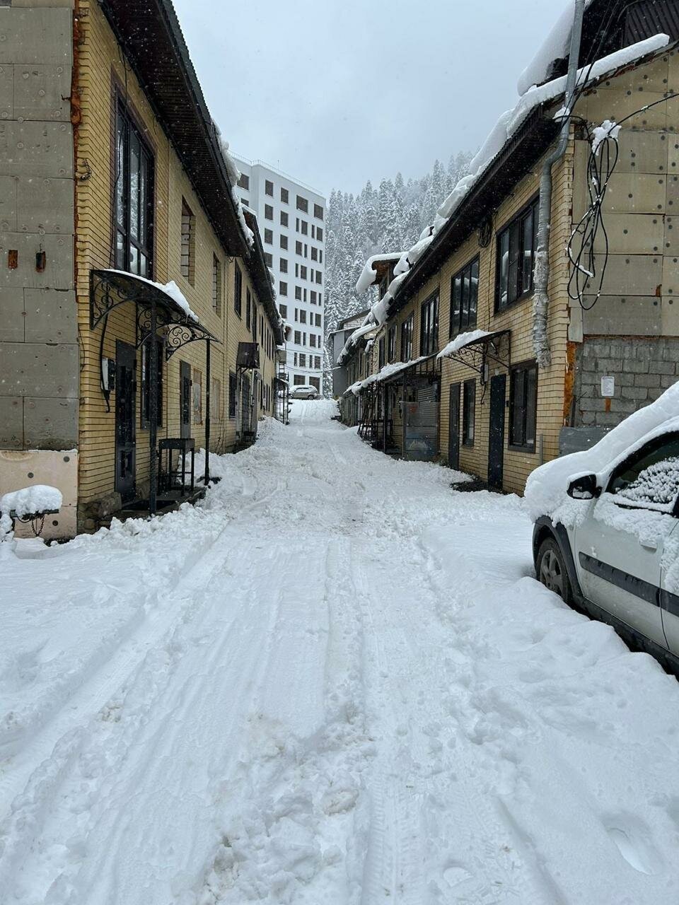 Фото Пихтовый мыс